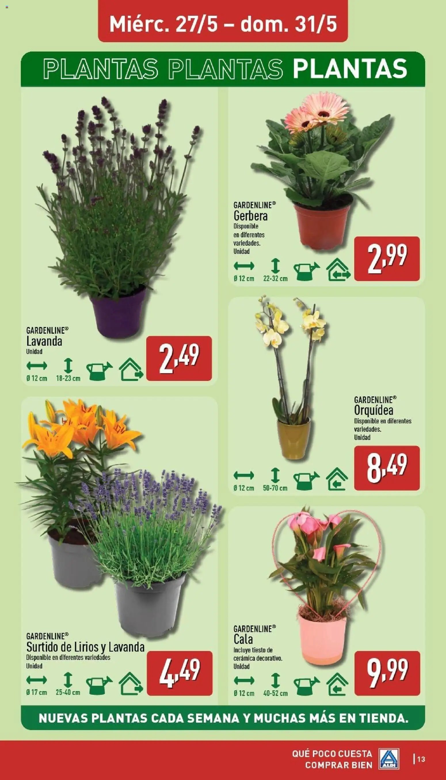 Aldi folleto Península