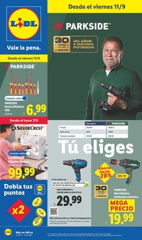 Lidl folleto de bazar