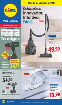 Lidl folleto de bazar