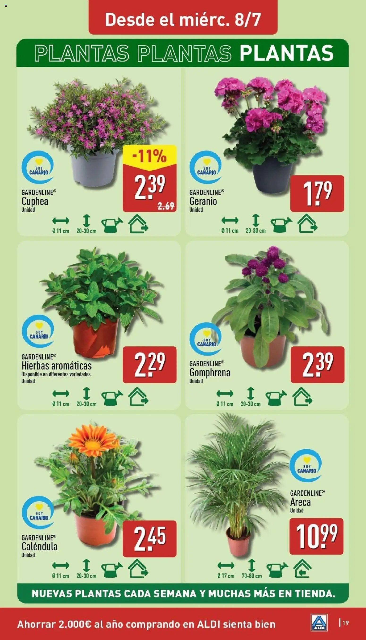Aldi folleto Canarias