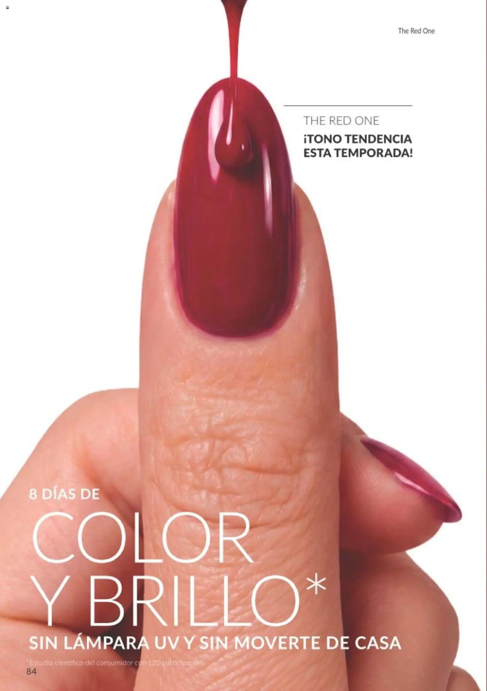 Catálogo AVON Black Friday
