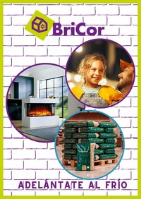 BriCor folleto