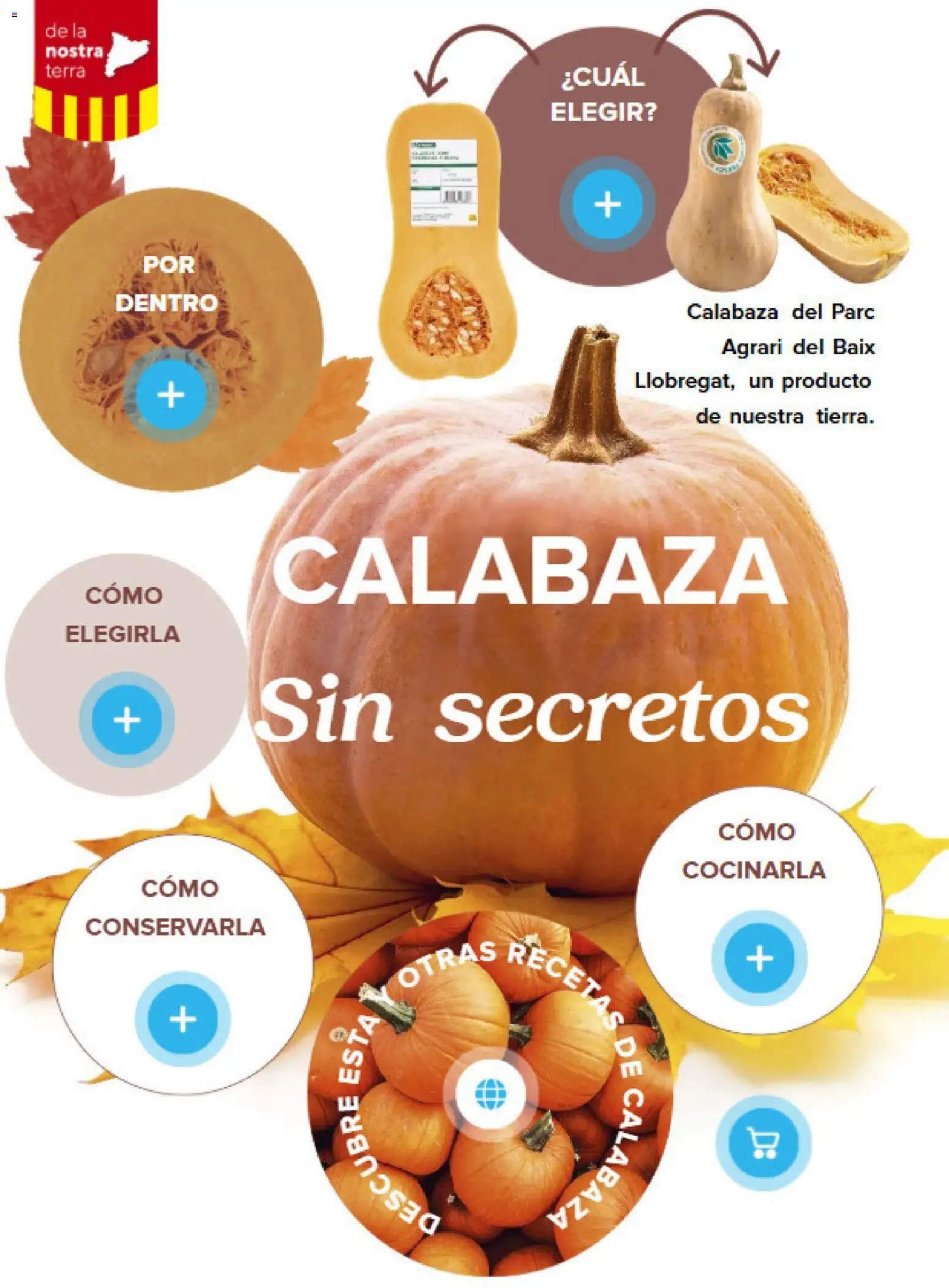 Caprabo Revista