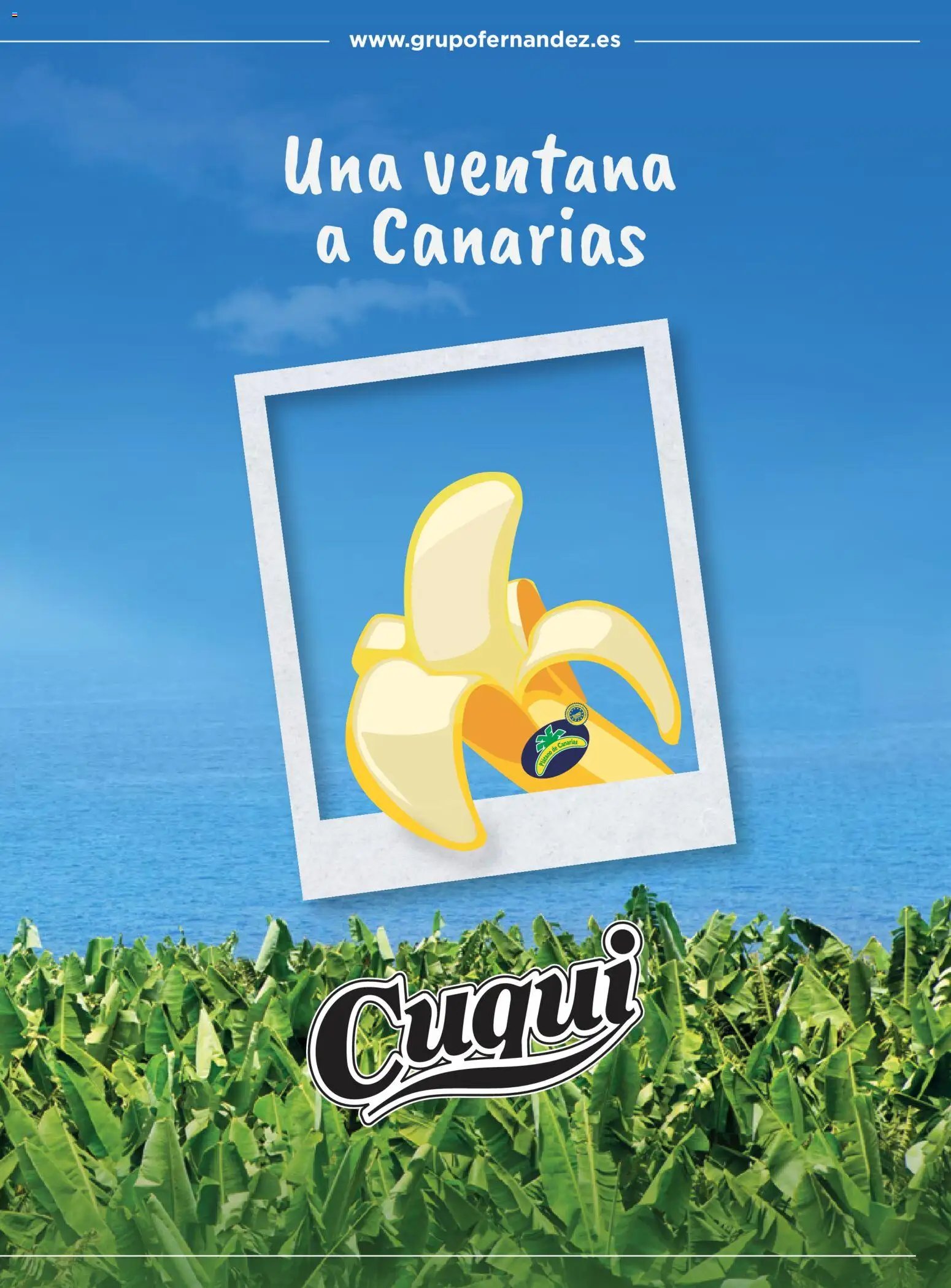 Costco catálogo Otoňo
