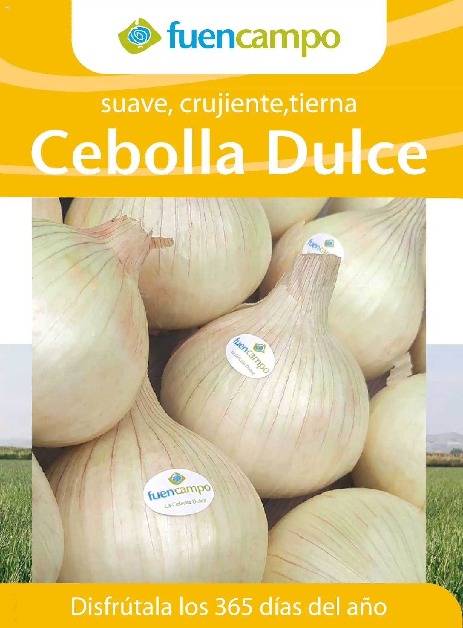 Costco catálogo Otoňo