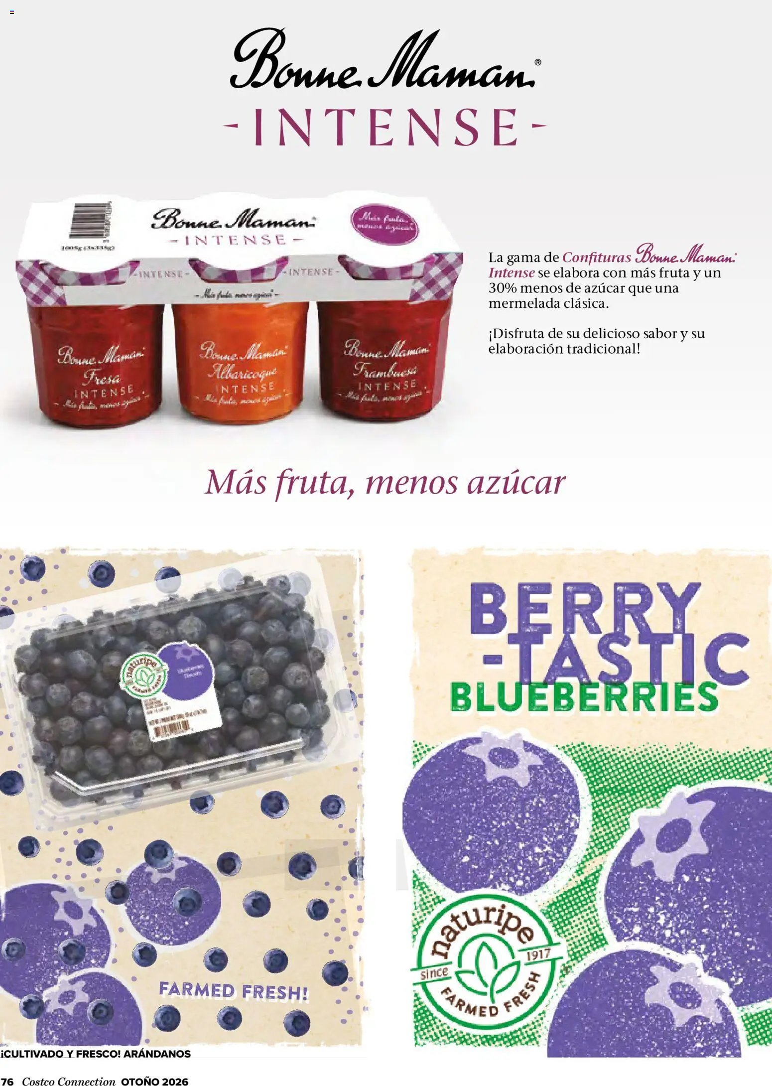 Costco catálogo Otoňo