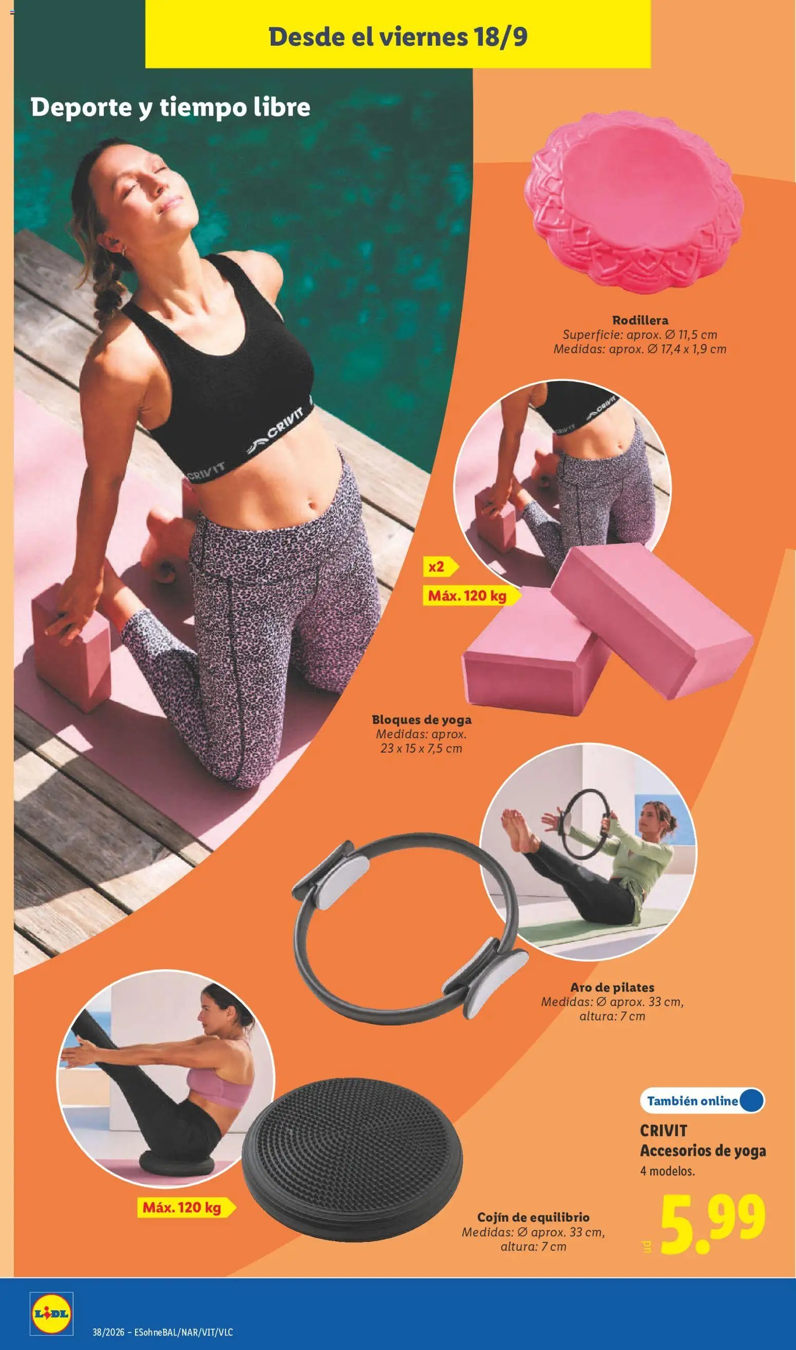 Lidl folleto de bazar