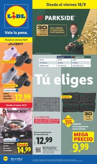 Lidl folleto de bazar