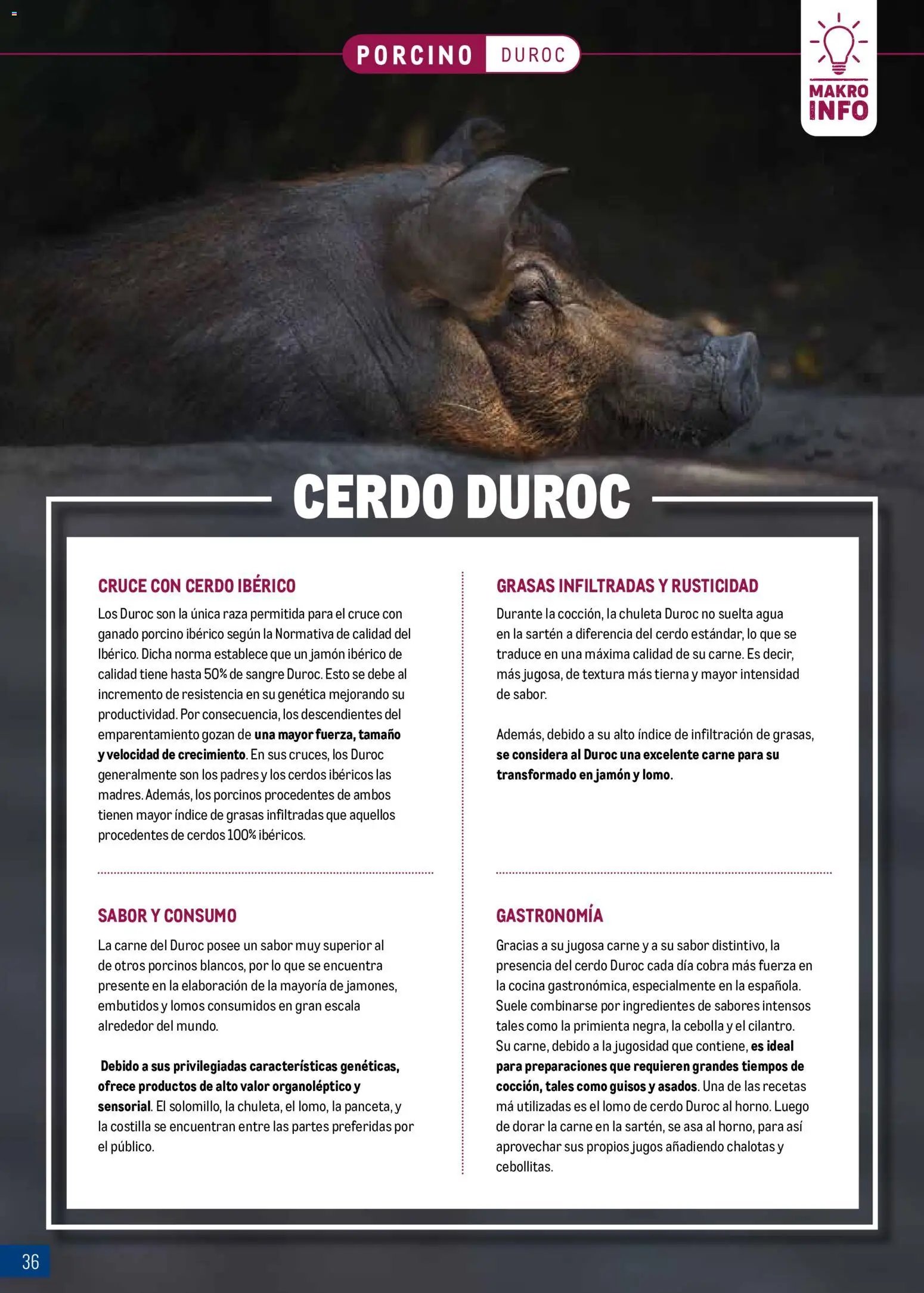 Makro Expertos en carnes
