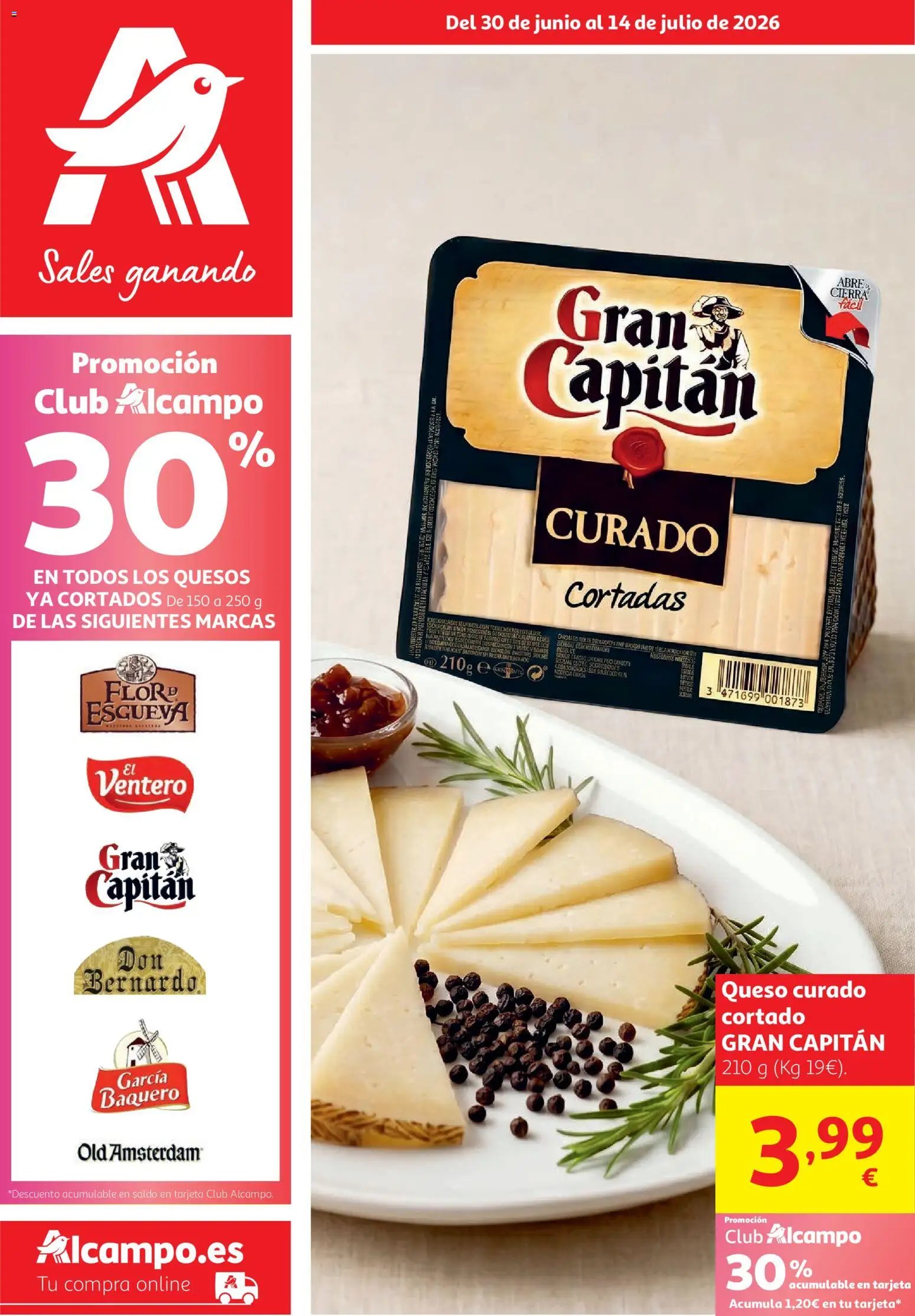 Alcampo folleto
