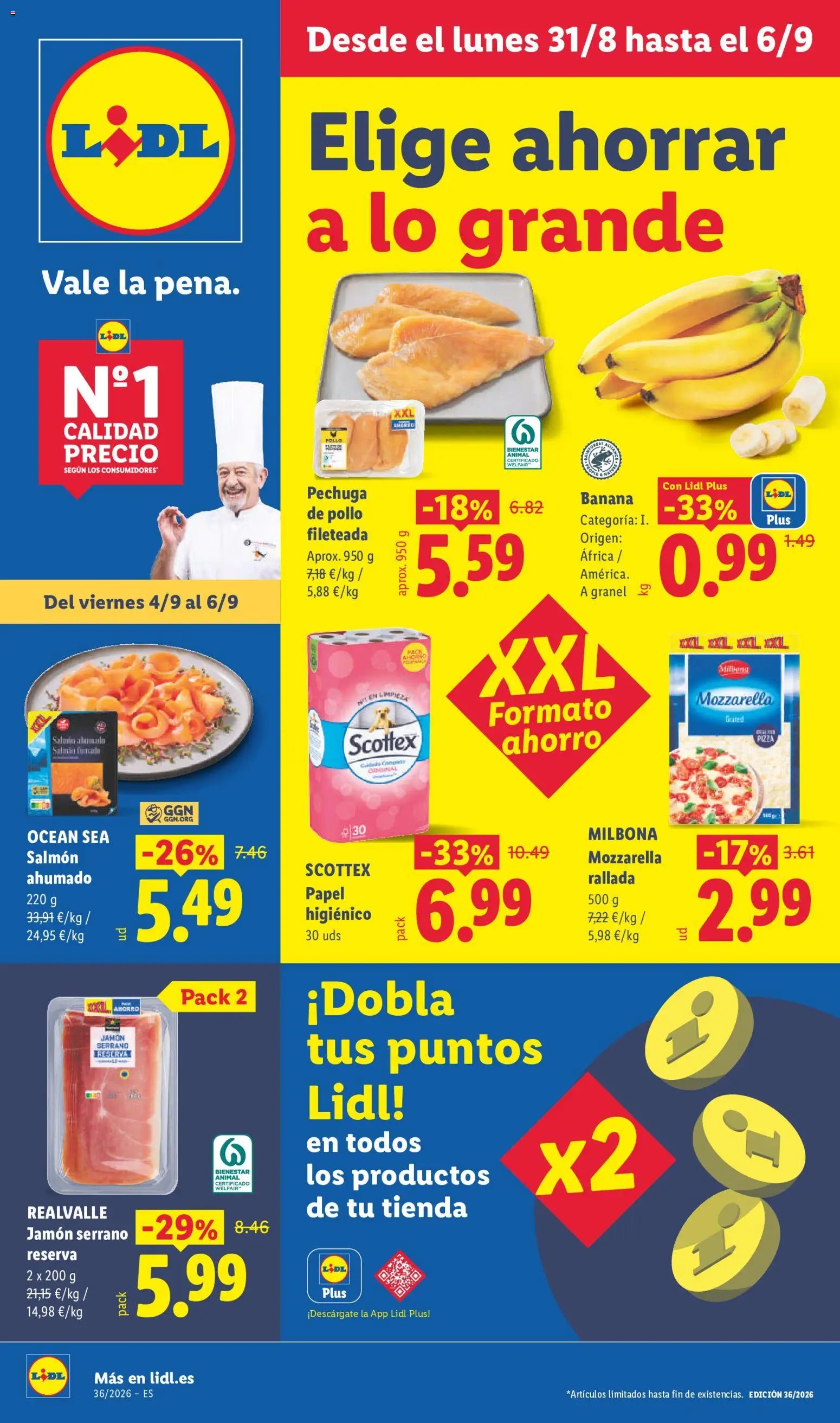 Lidl folleto