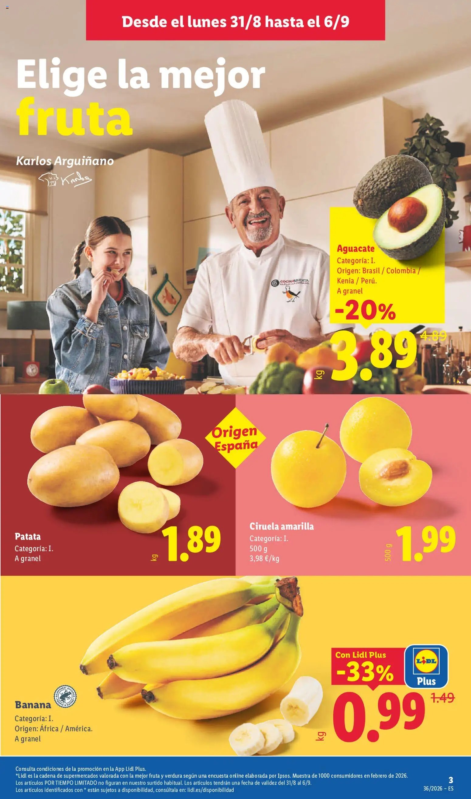 Lidl folleto