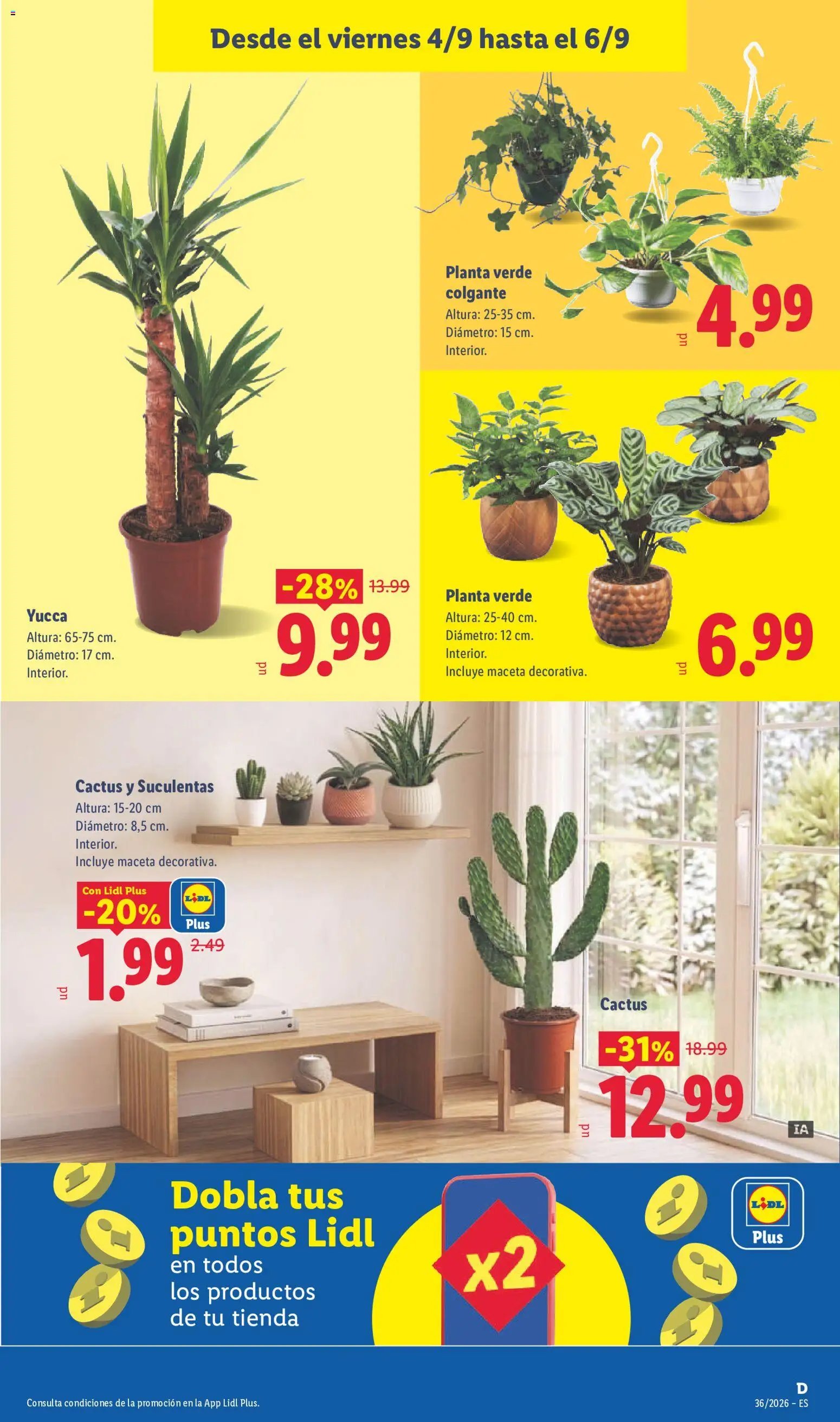 Lidl folleto
