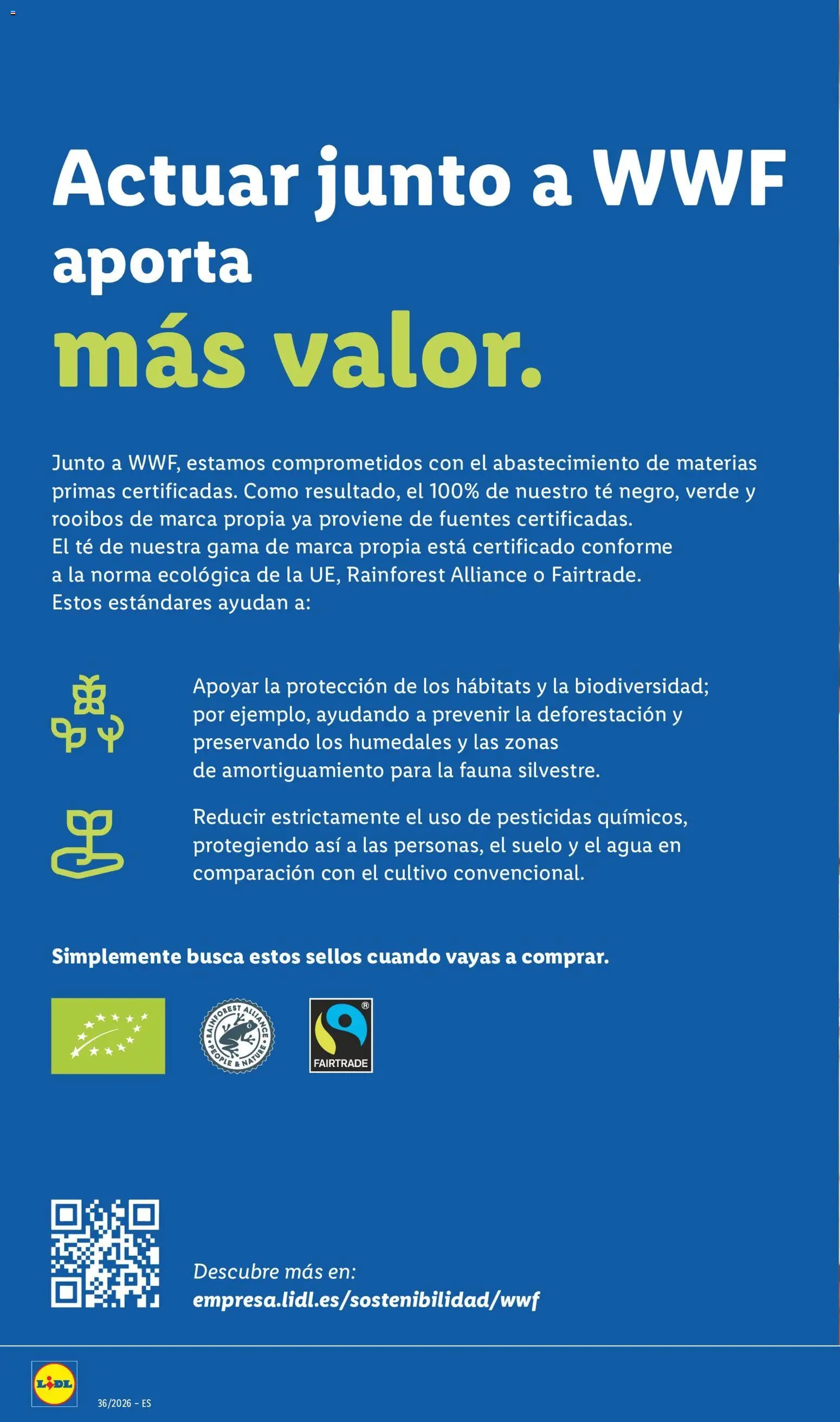 Lidl folleto