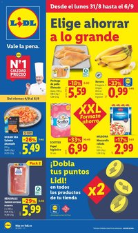 Lidl folleto