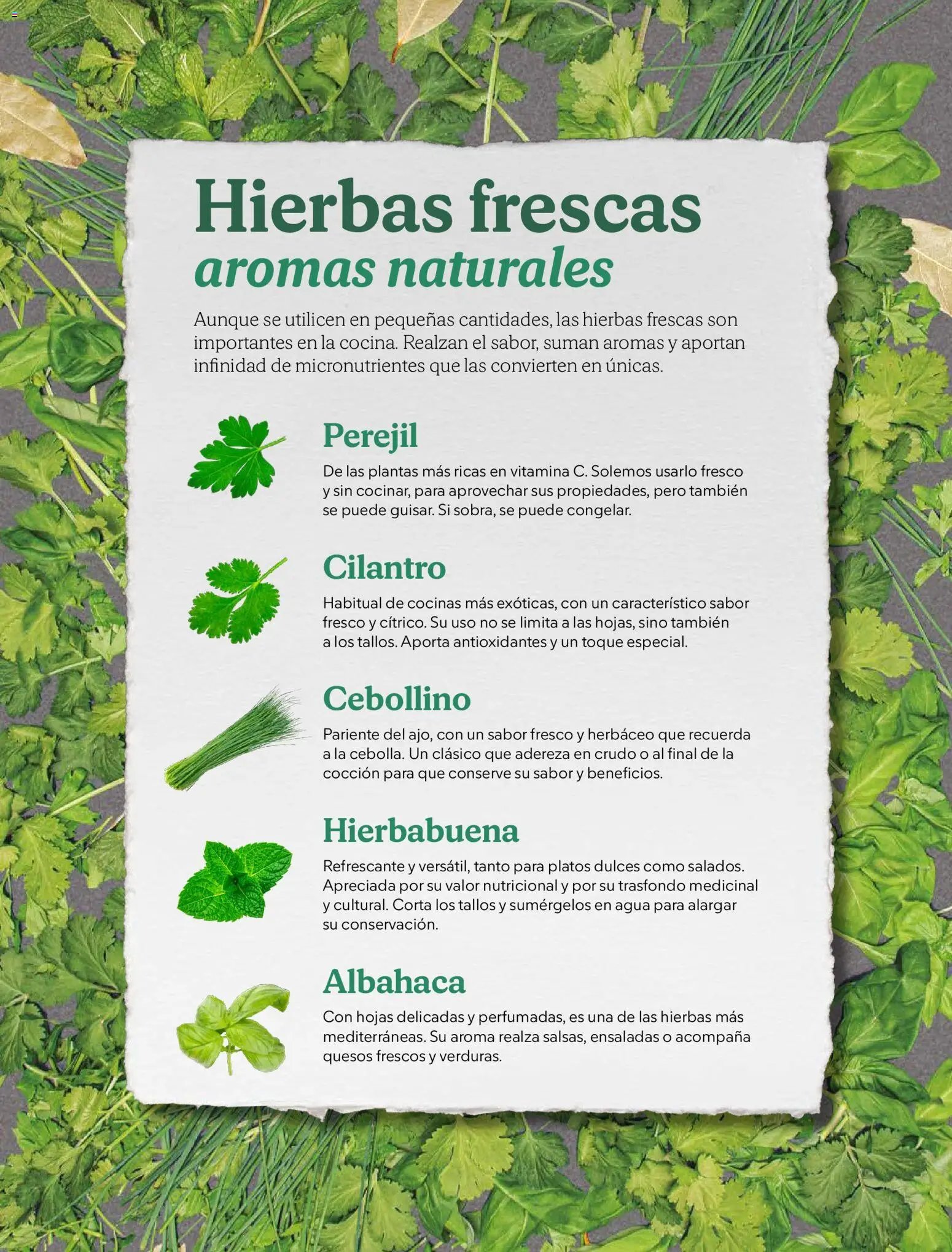 Catálogo Mercadona - Navidad 2025