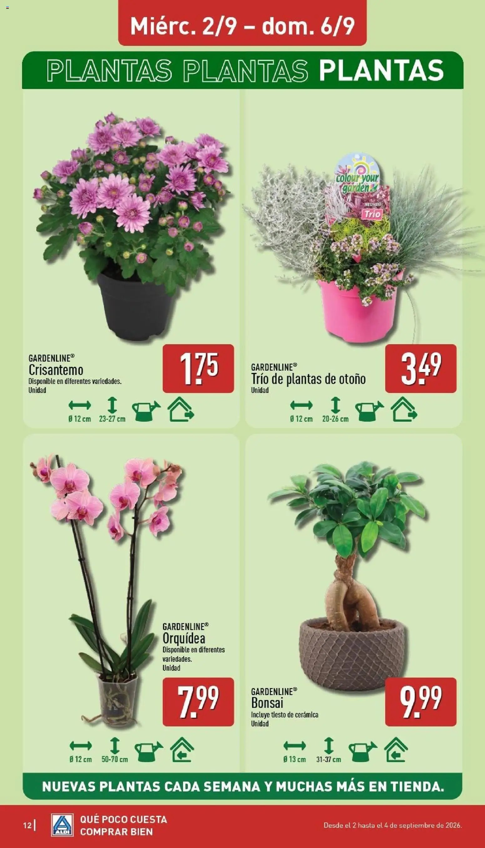 Aldi folleto Península