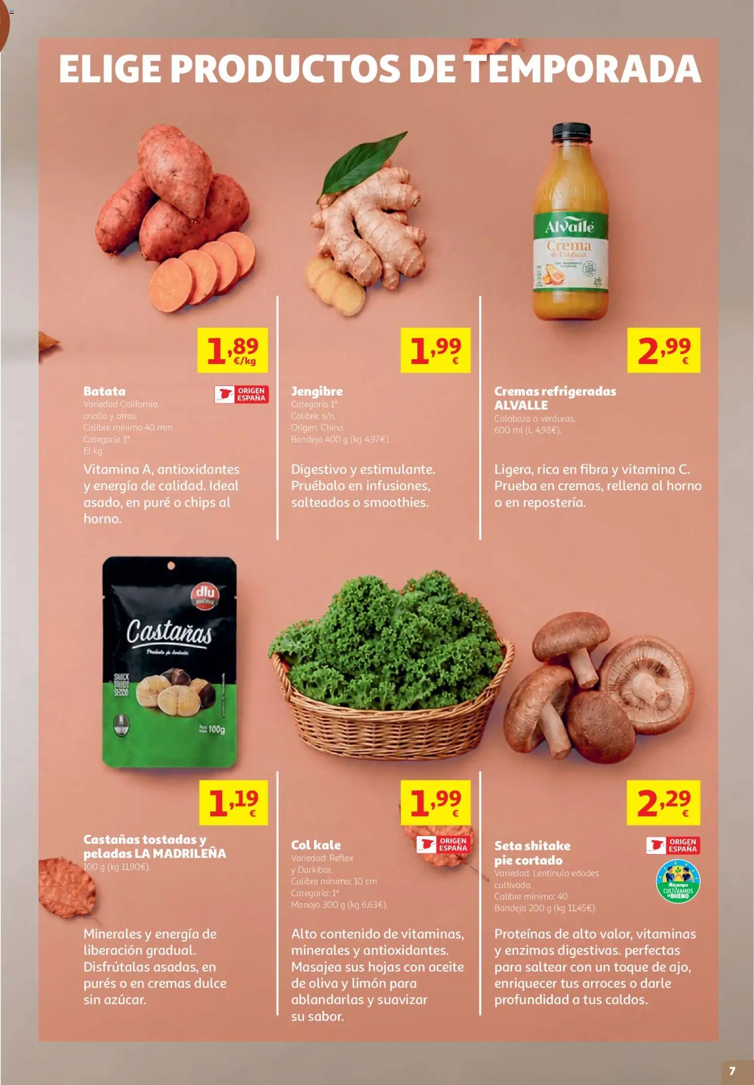 Alcampo folleto