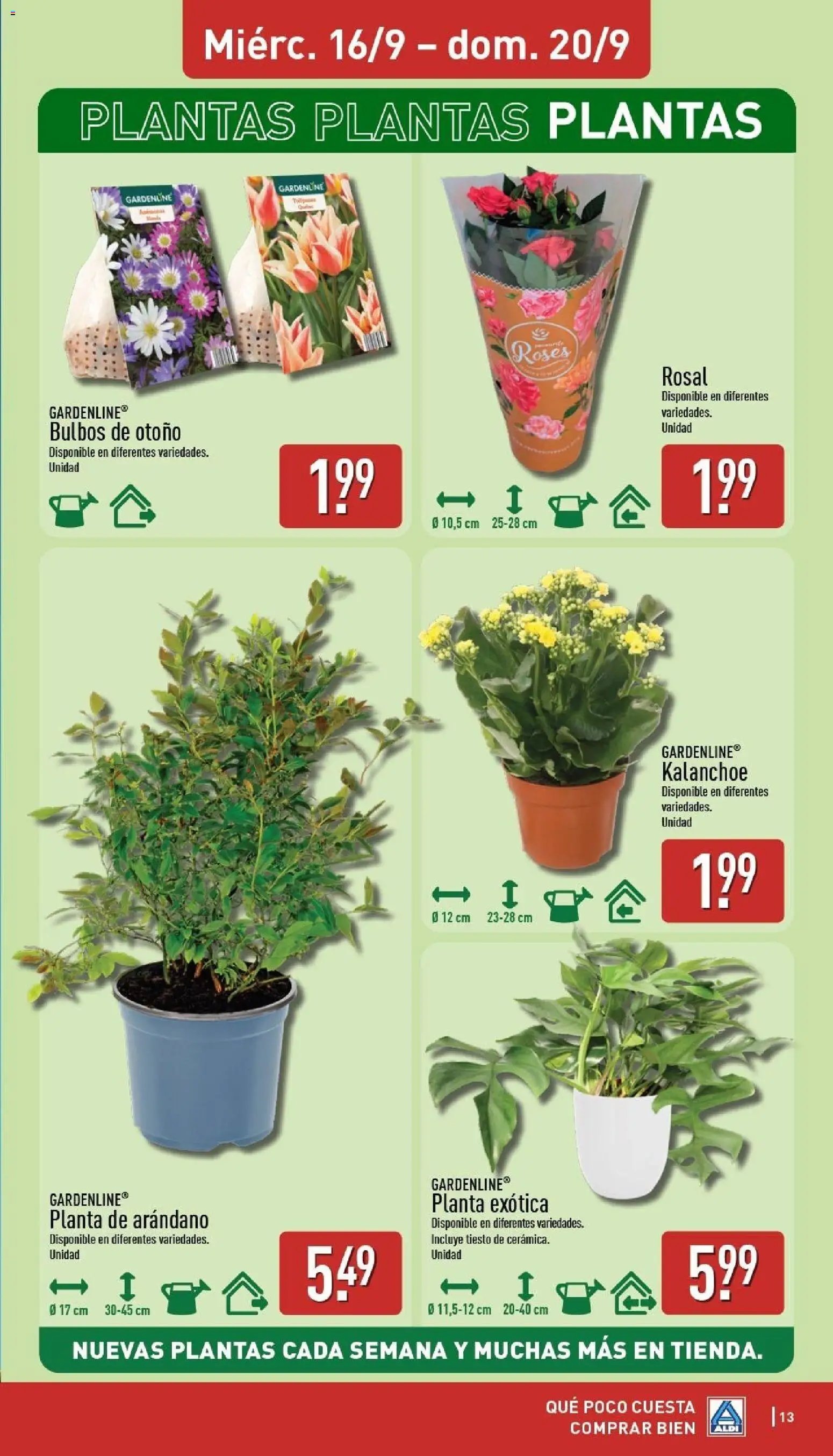 Aldi folleto Península