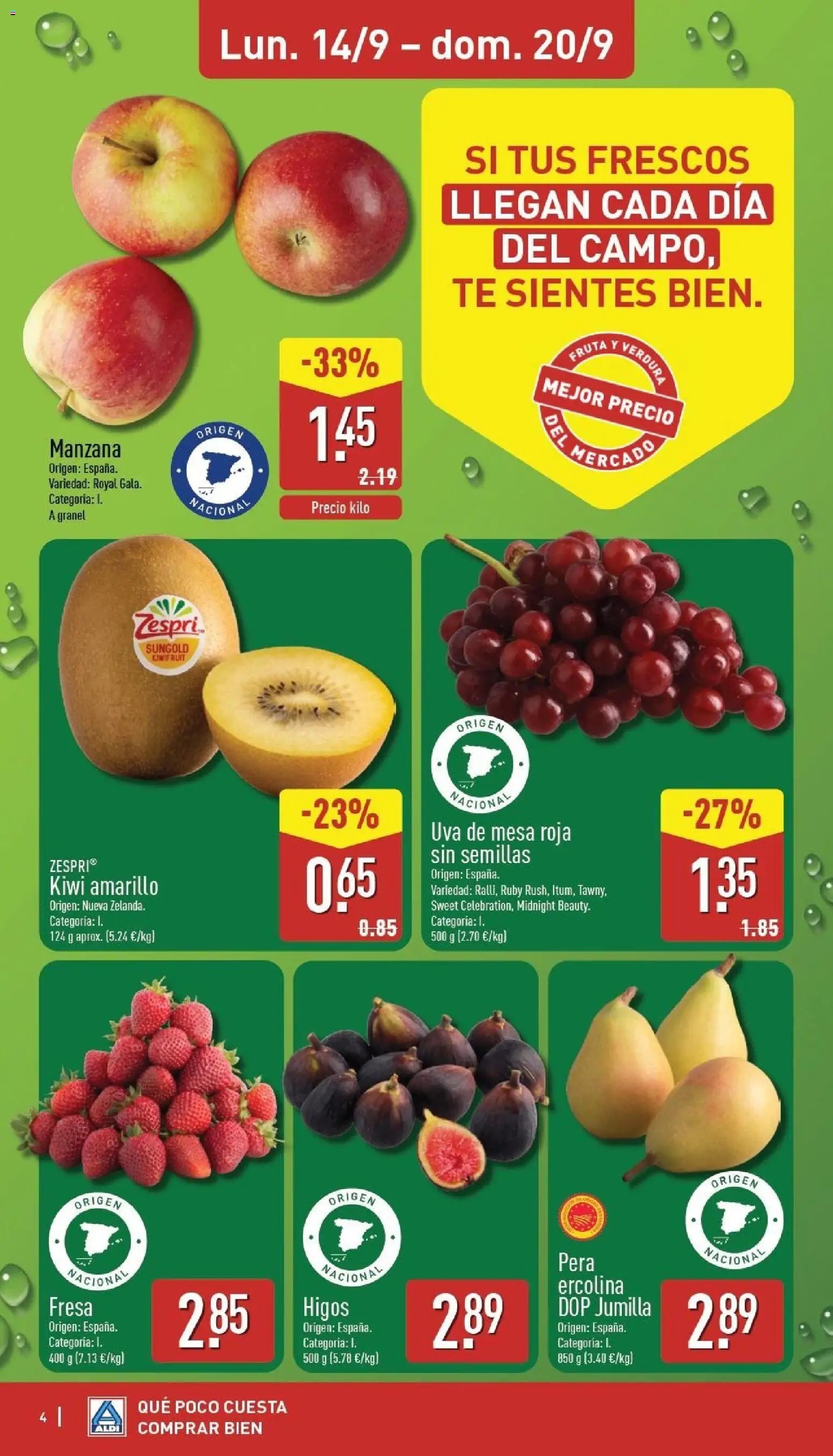 Aldi folleto Península