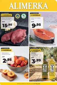 Alimerka folleto Asturias