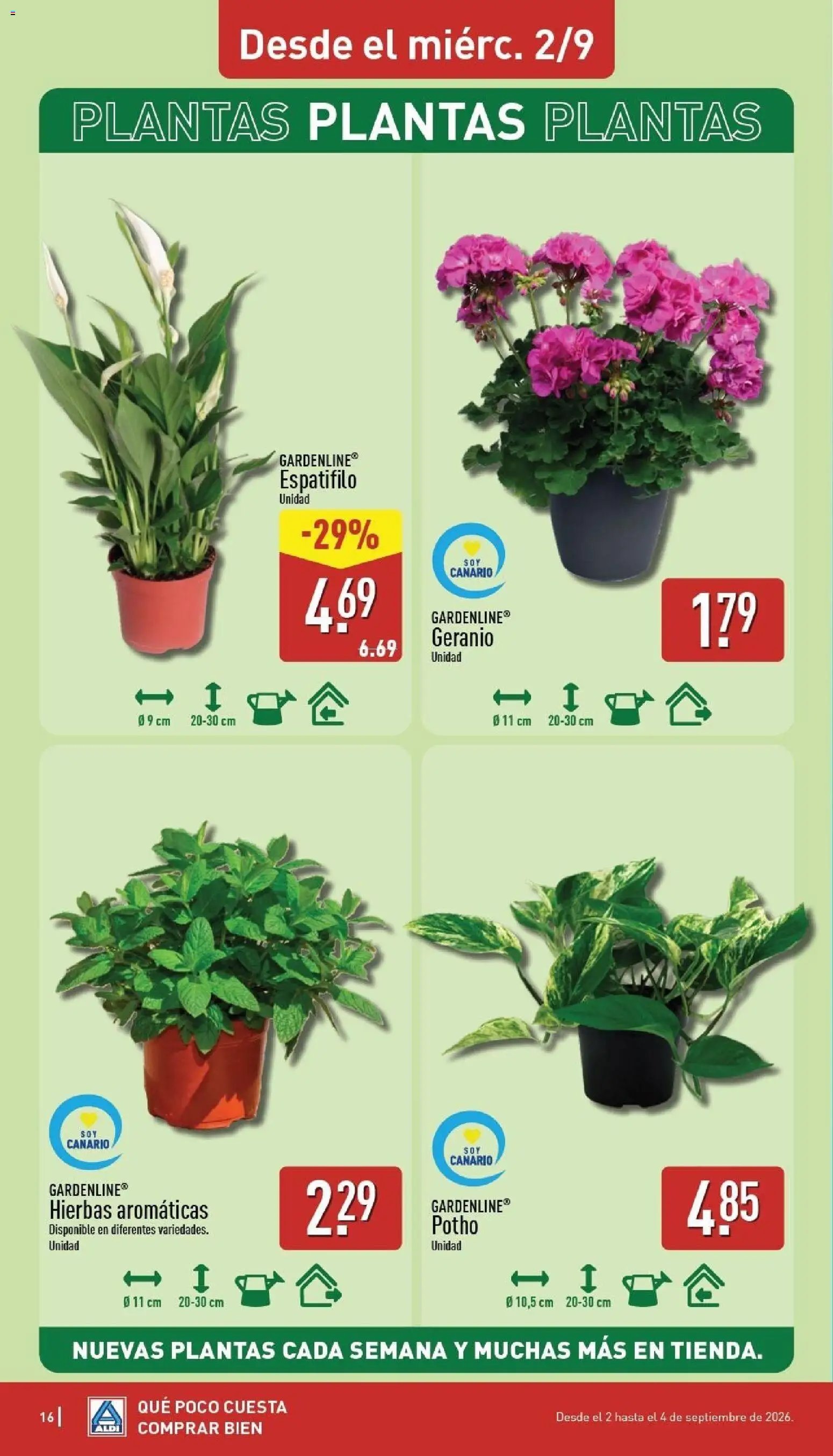 Aldi folleto Canarias