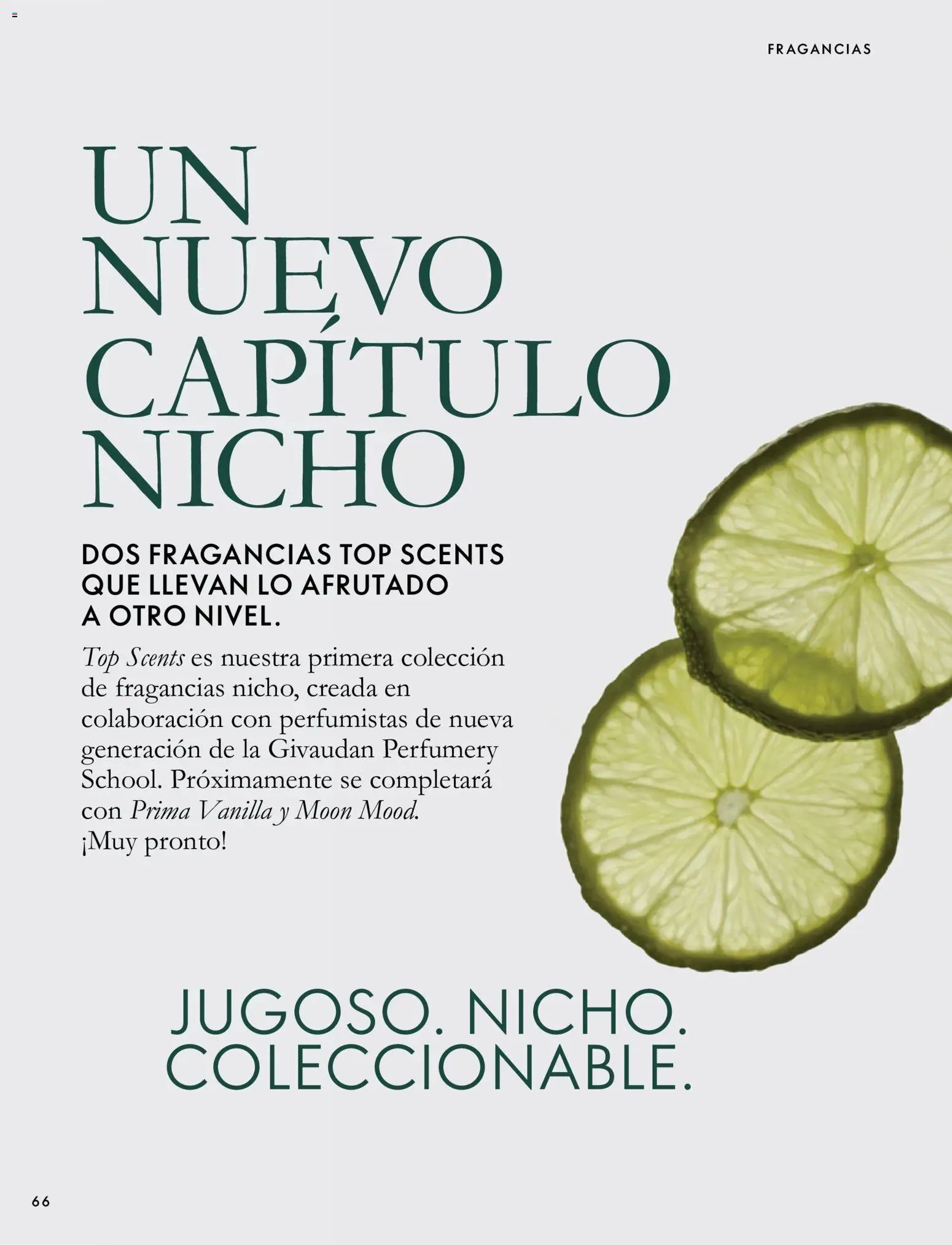Oriflame - Catálogo Campaña 14