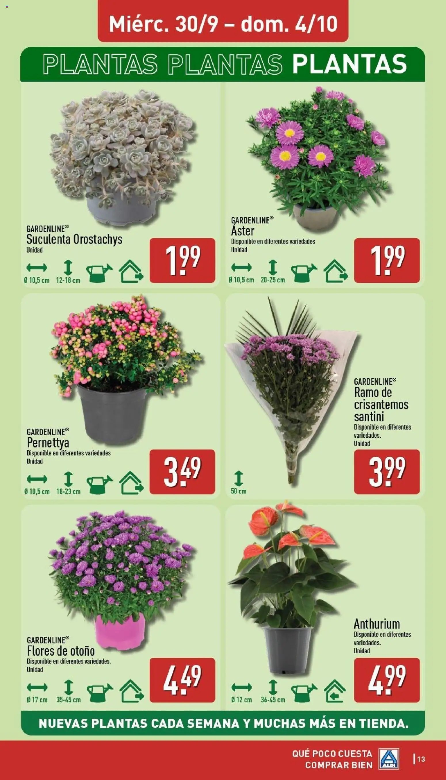 Aldi folleto Península