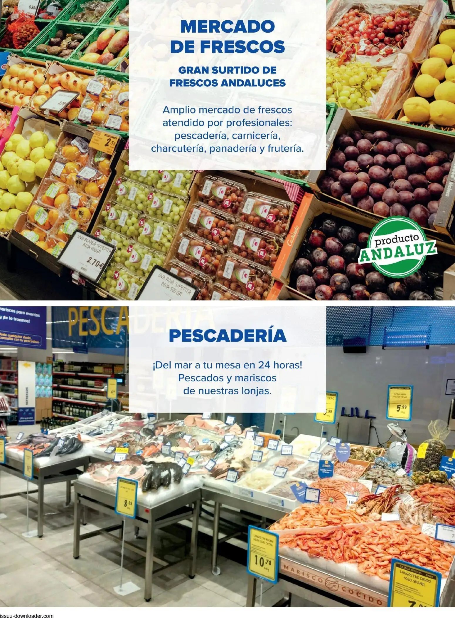 Cash Fresh folleto Viso del Alcor