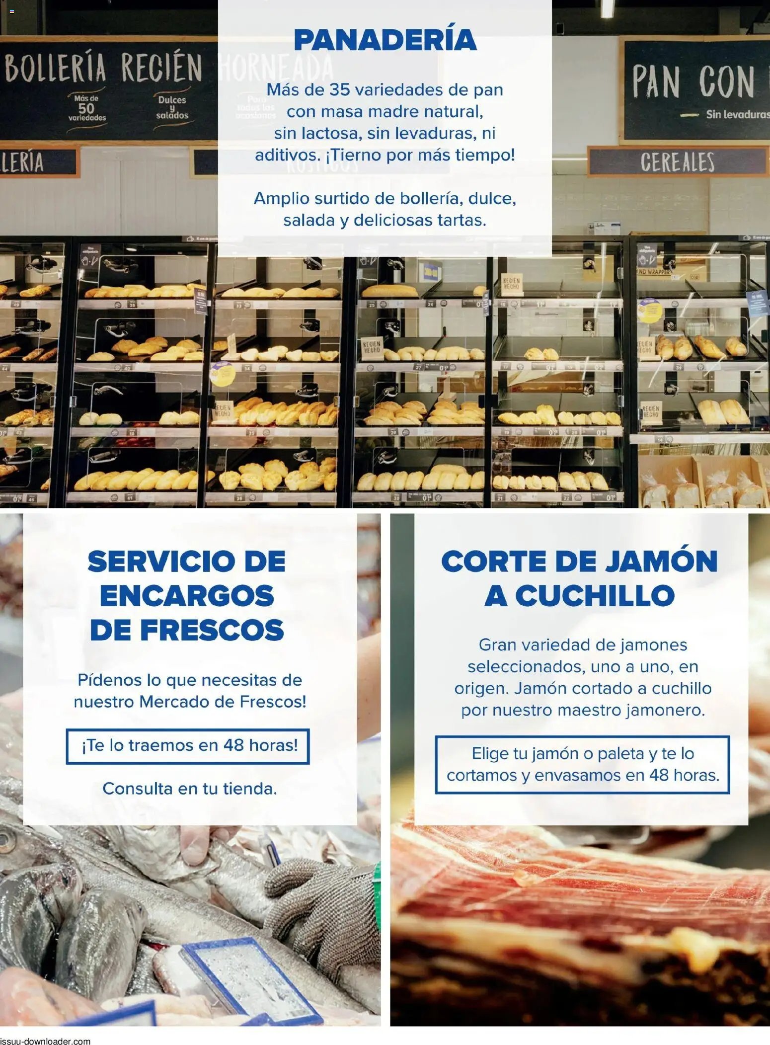 Cash Fresh folleto Viso del Alcor