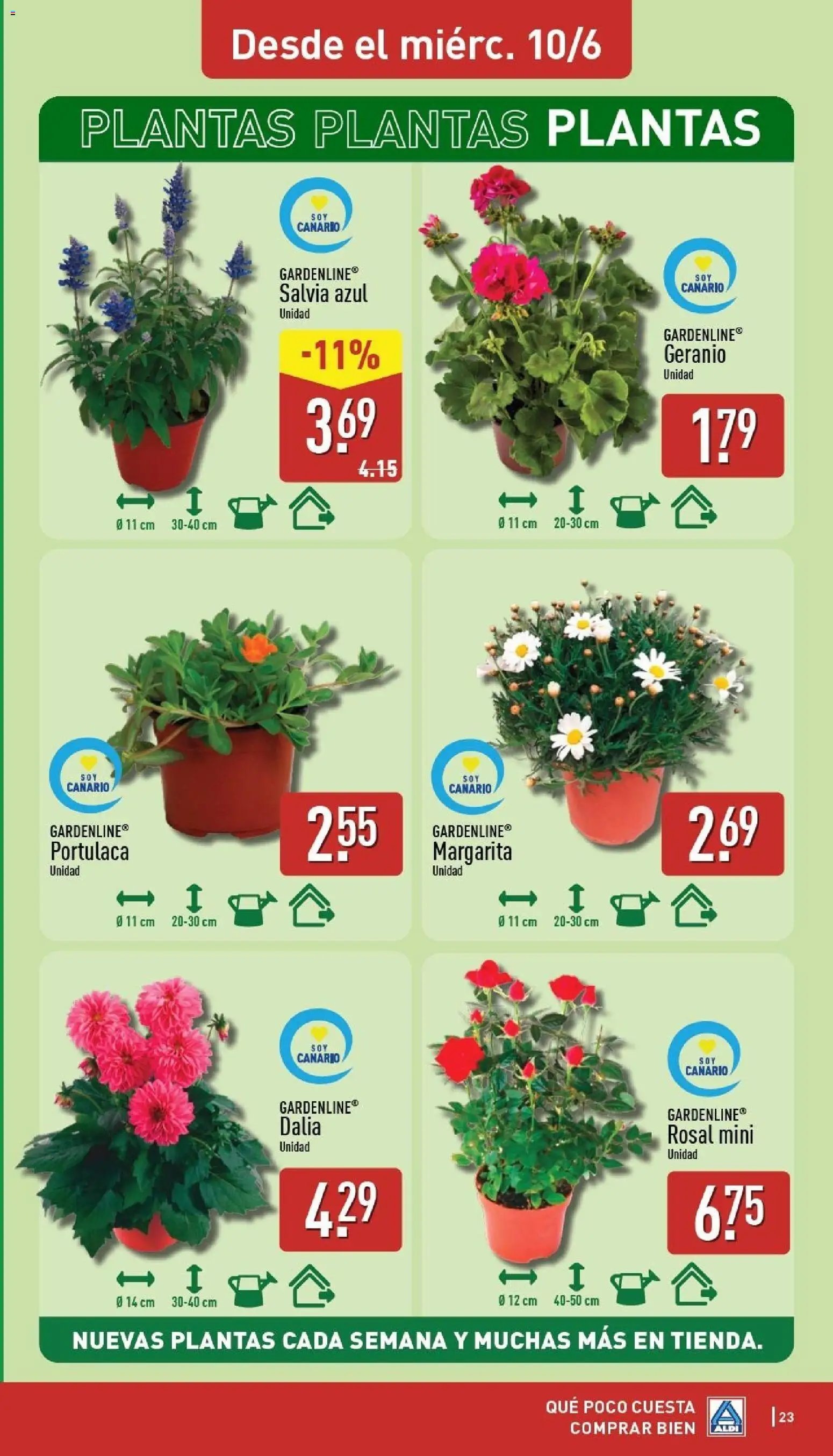 Aldi folleto Canarias
