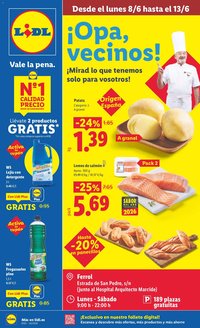 Lidl folleto