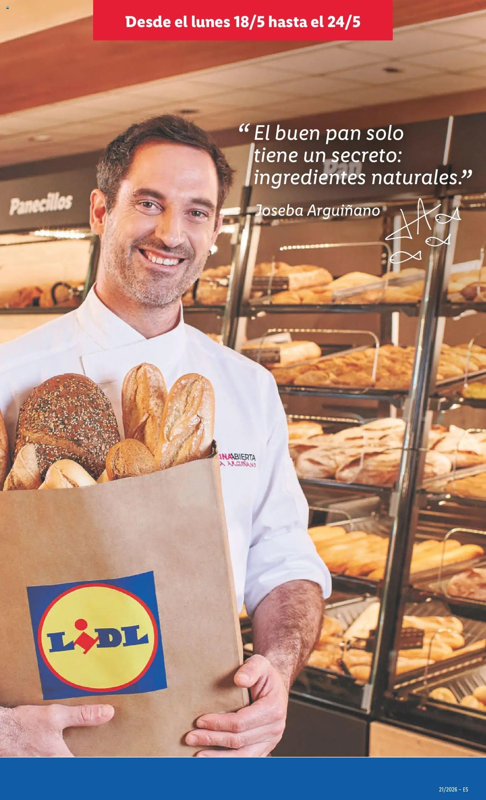 Lidl folleto