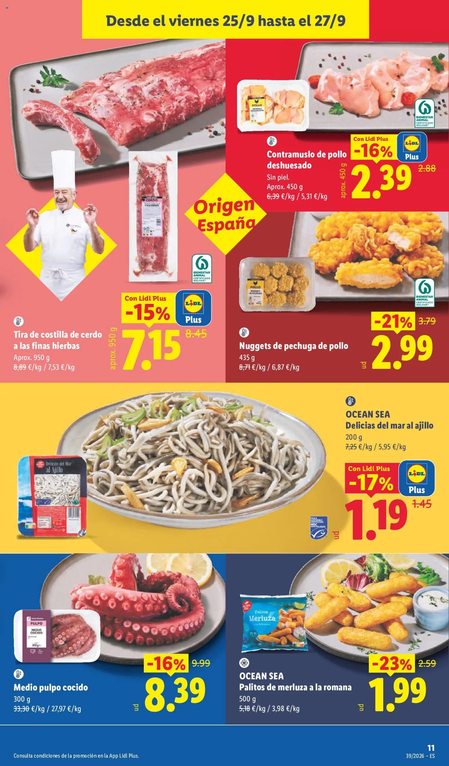 Lidl folleto