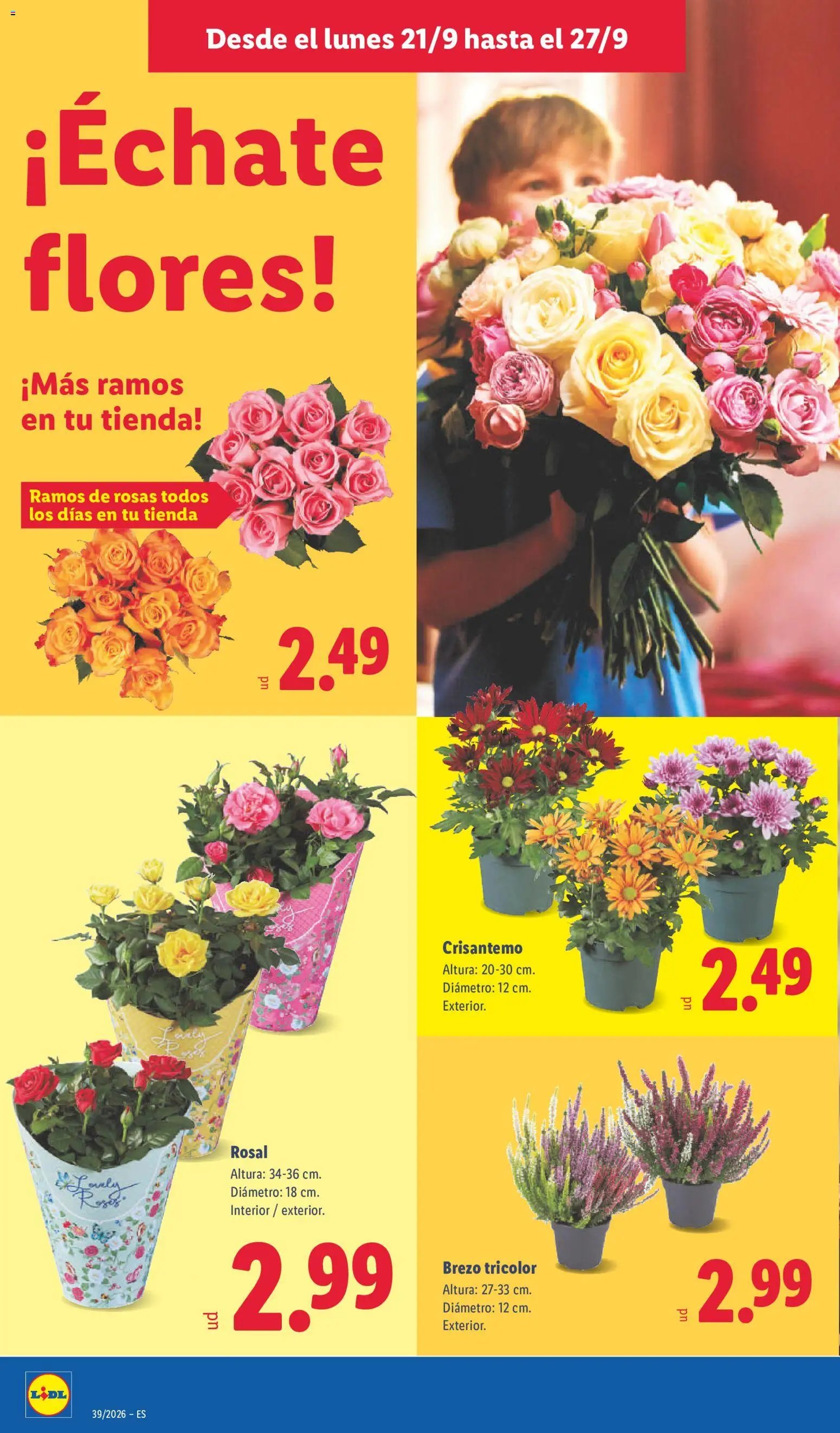 Lidl folleto