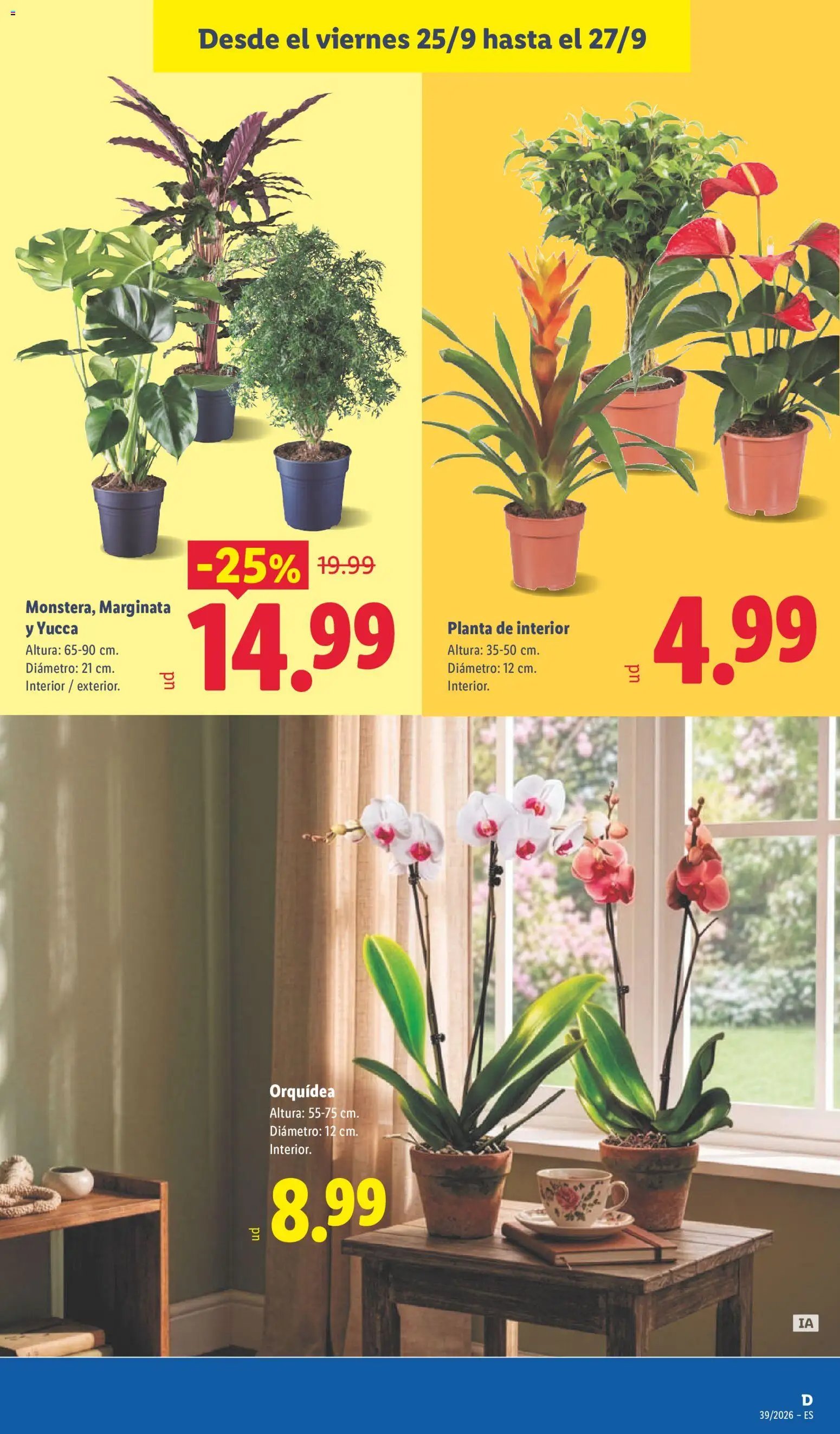 Lidl folleto
