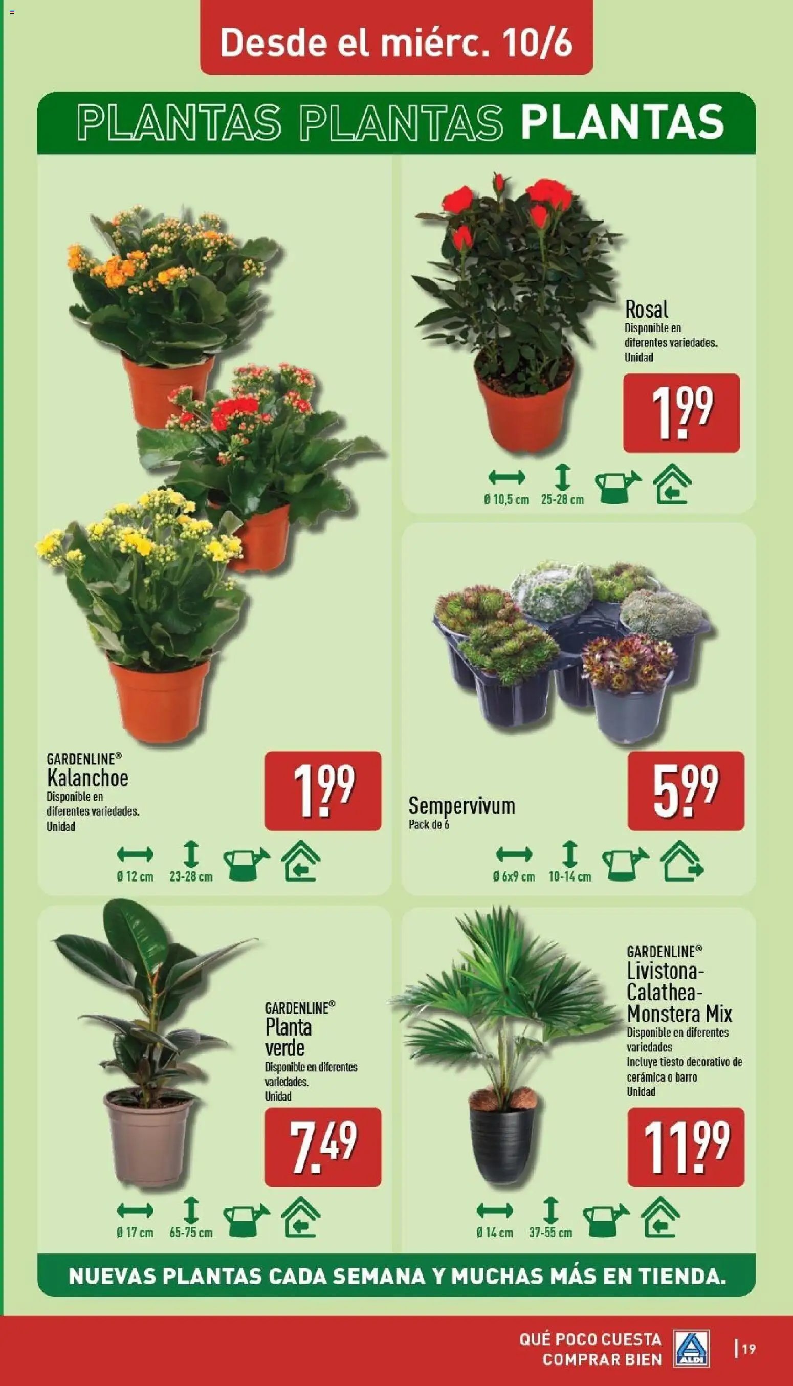 Aldi folleto Península