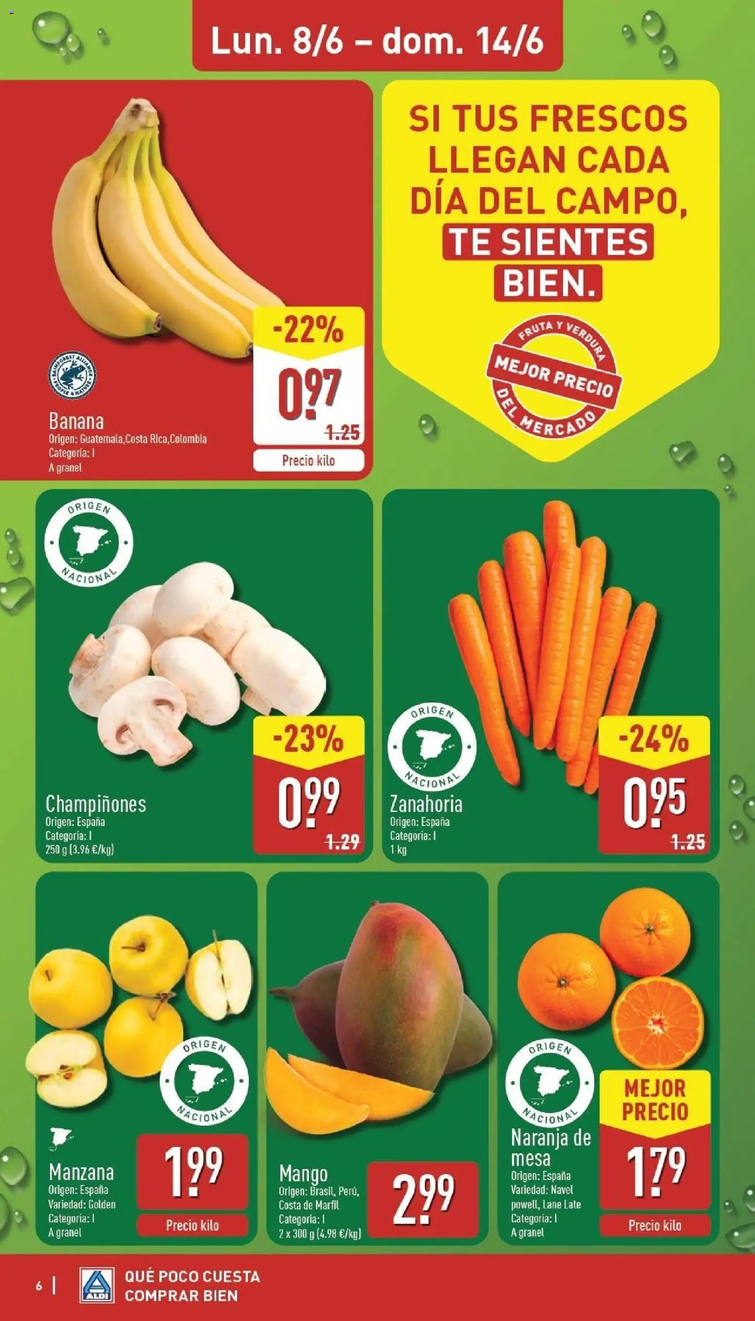 Aldi folleto Península