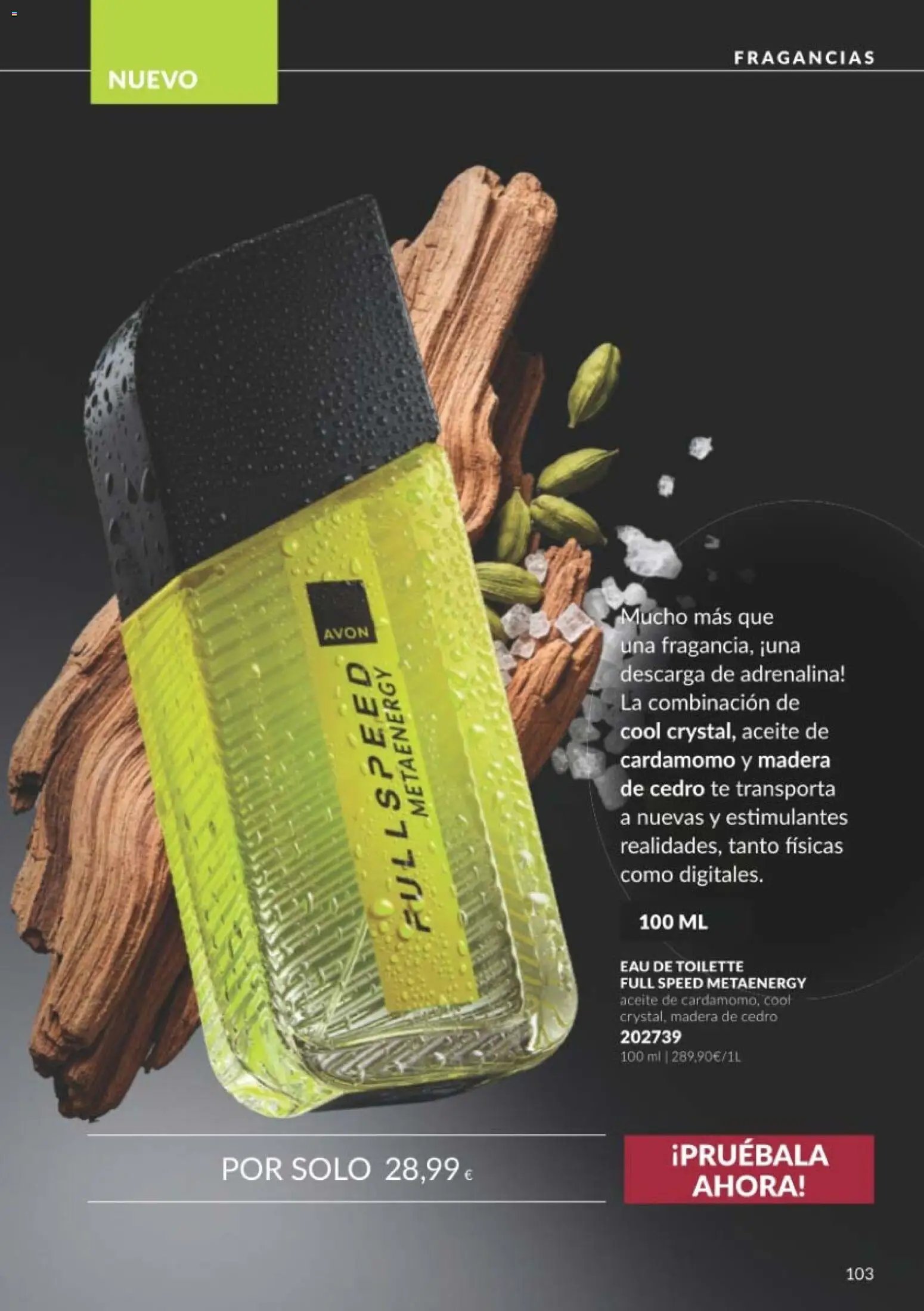 Catálogo AVON campaña 10