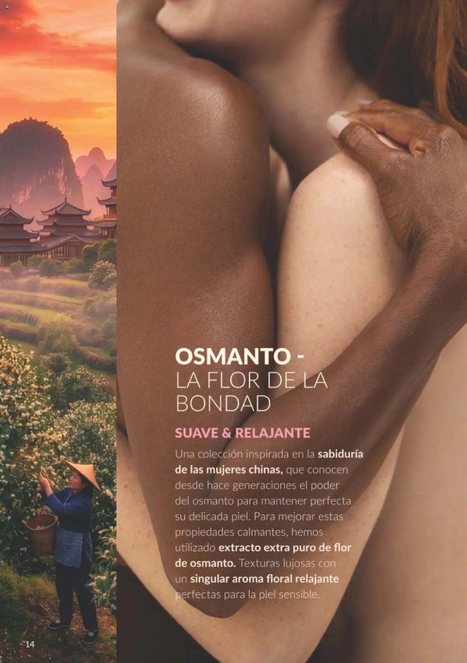 Catálogo AVON campaña 10