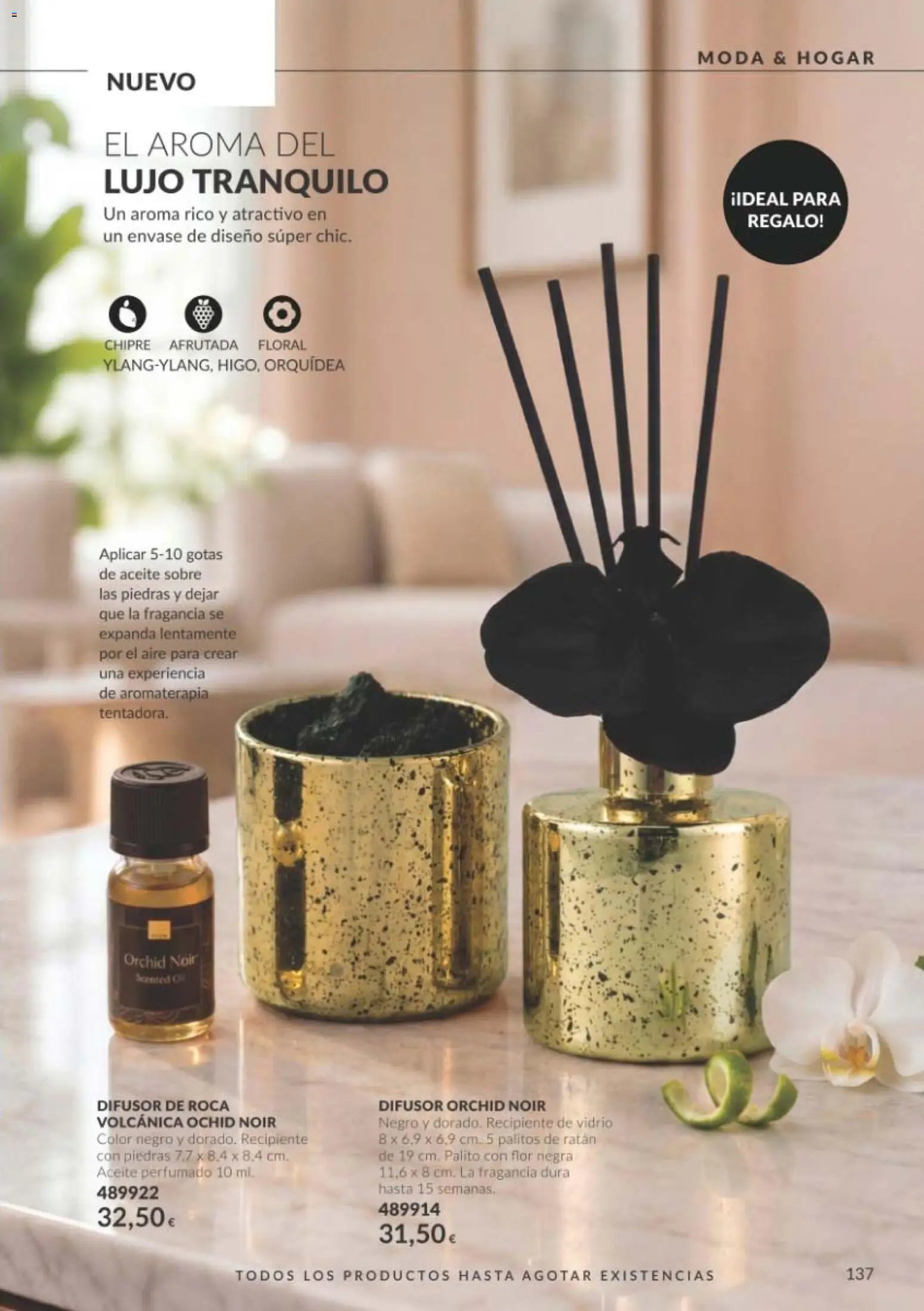 Catálogo AVON campaña 10
