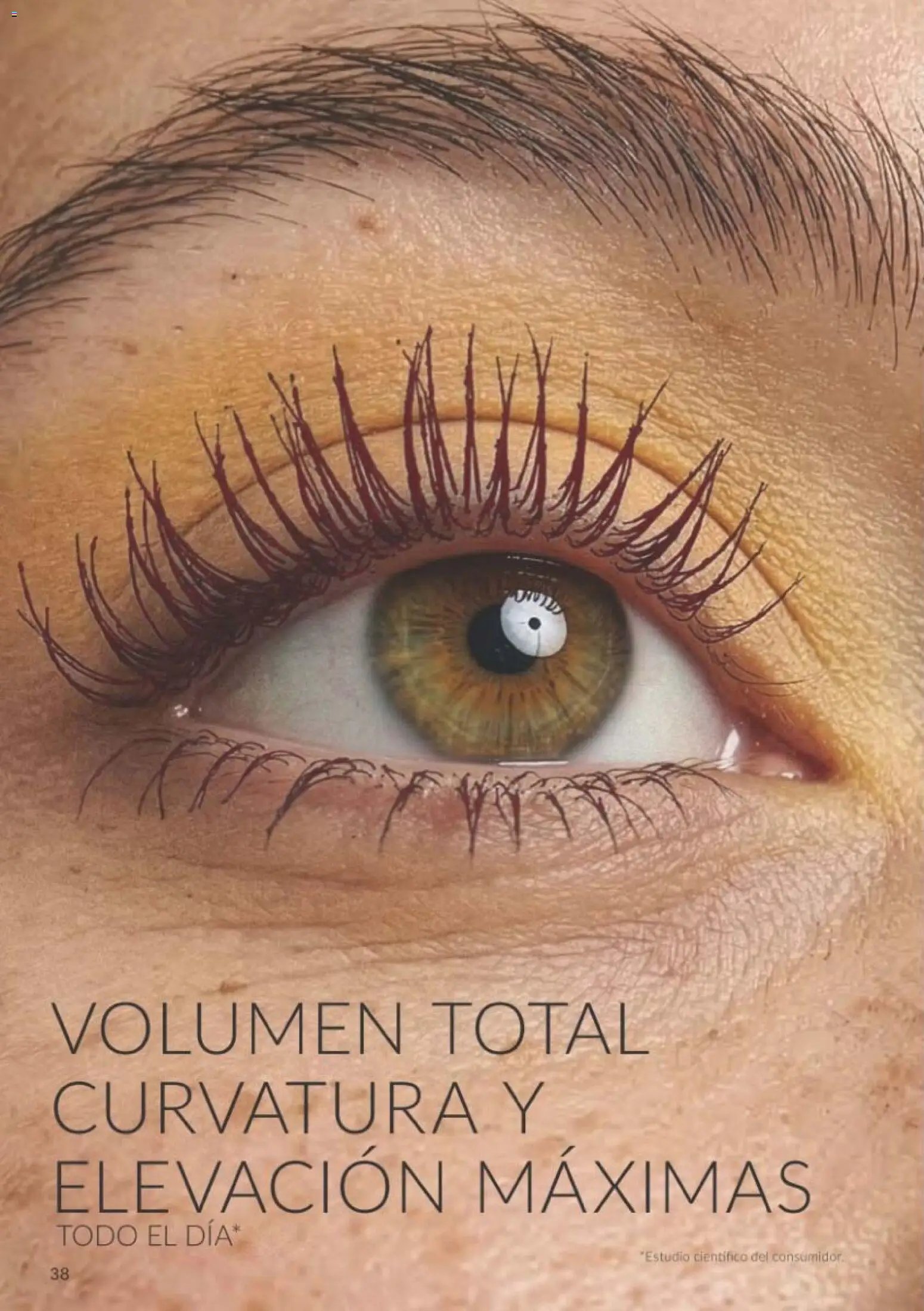 Catálogo AVON campaña 10