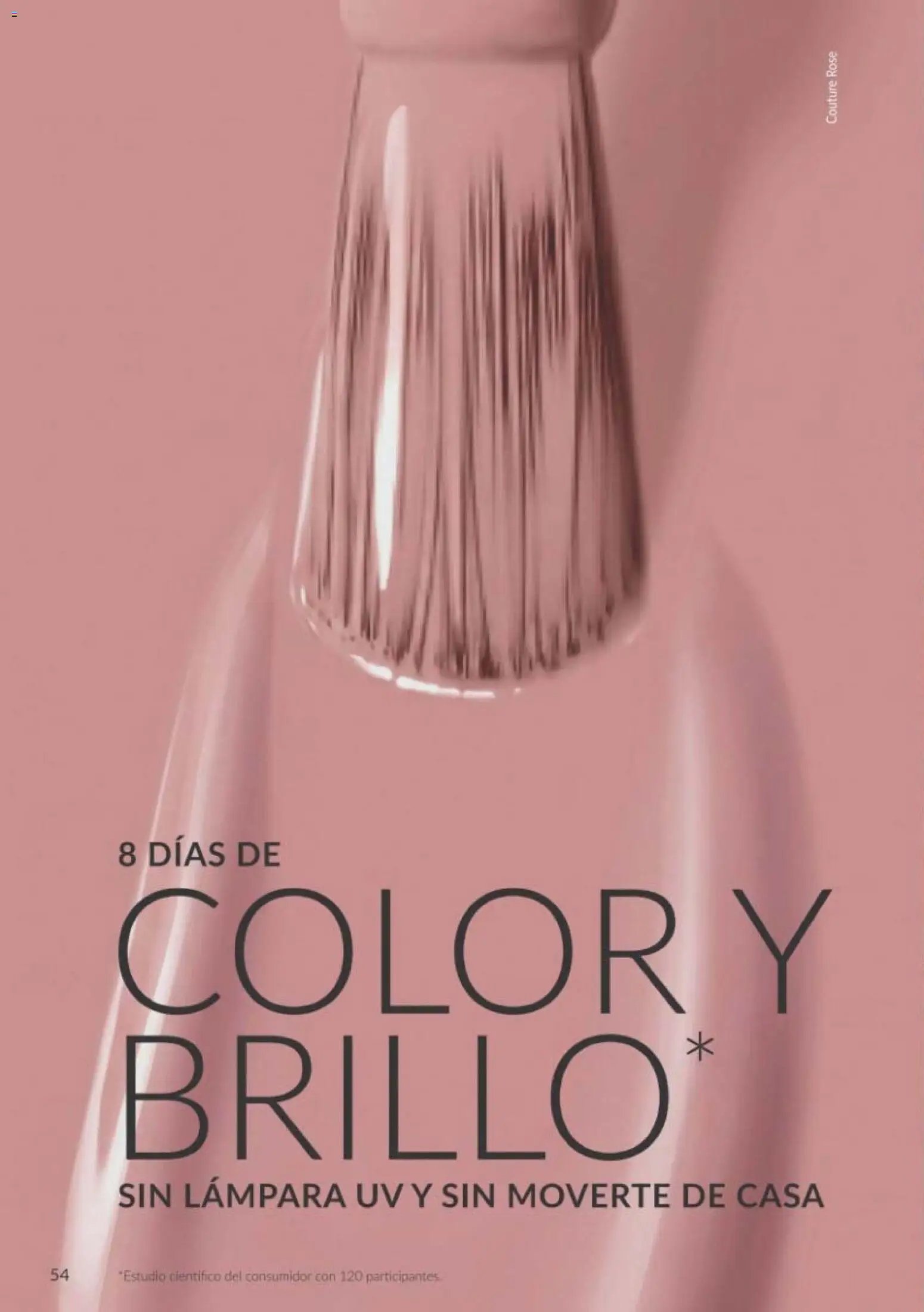 Catálogo AVON campaña 10