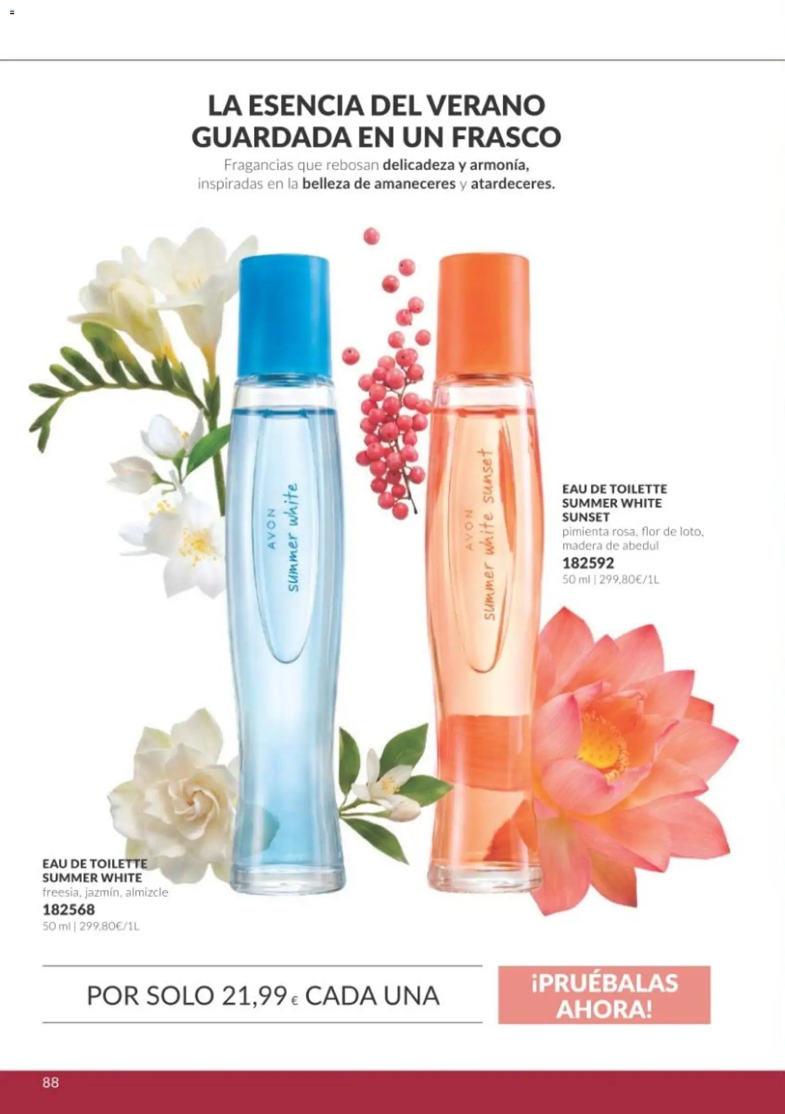 Catálogo AVON campaña 10