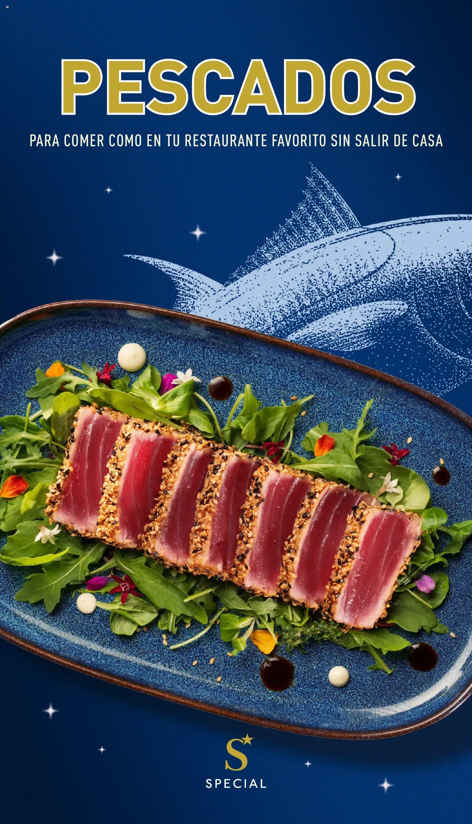 Aldi Catalogo Special Península