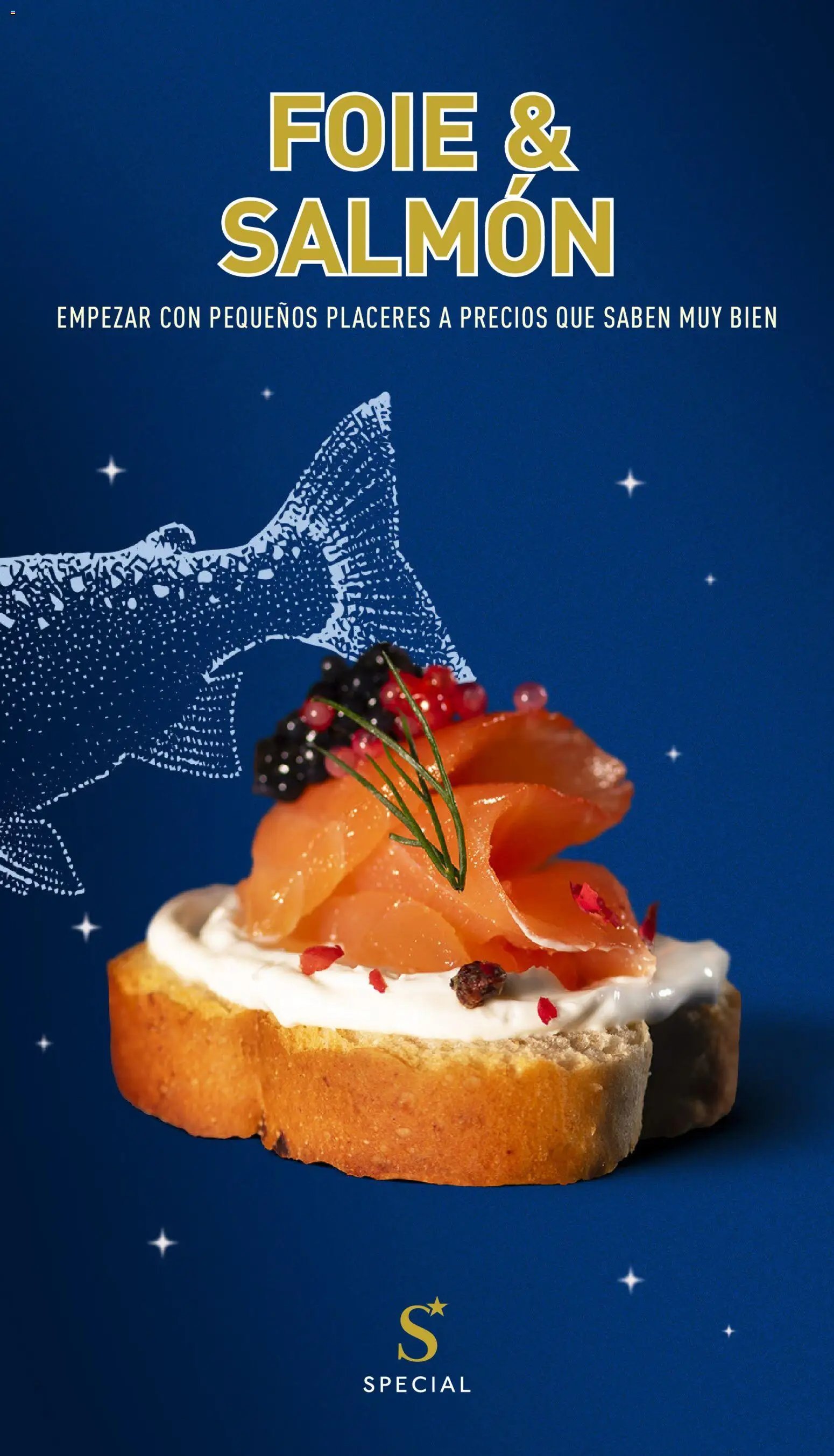 Aldi Catalogo Special Península