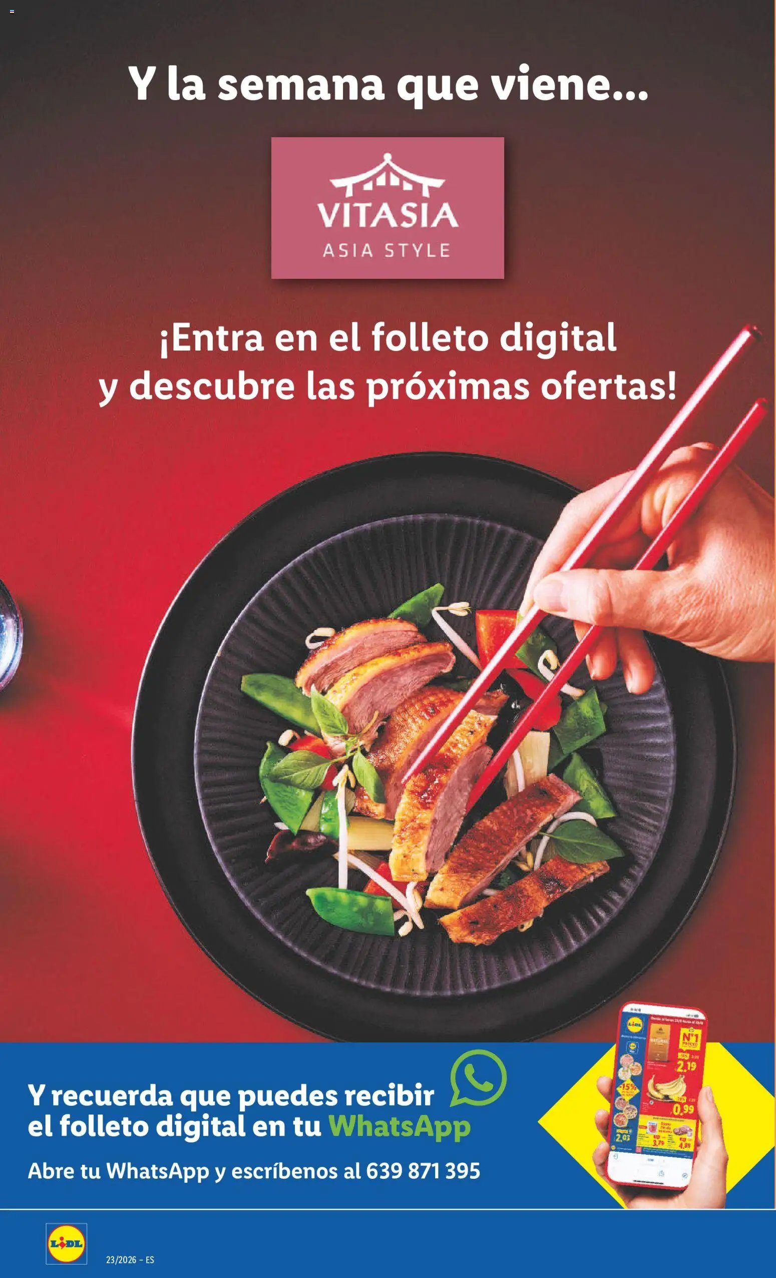 Lidl folleto de bazar