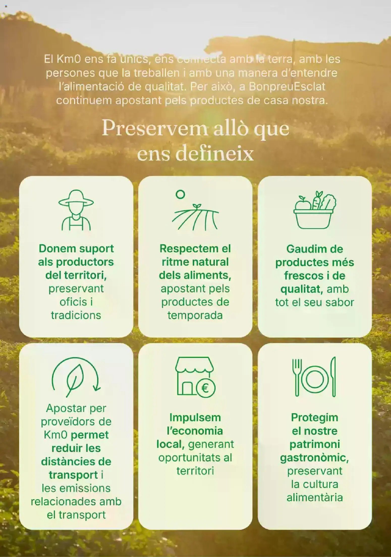 Bonpreu folleto
