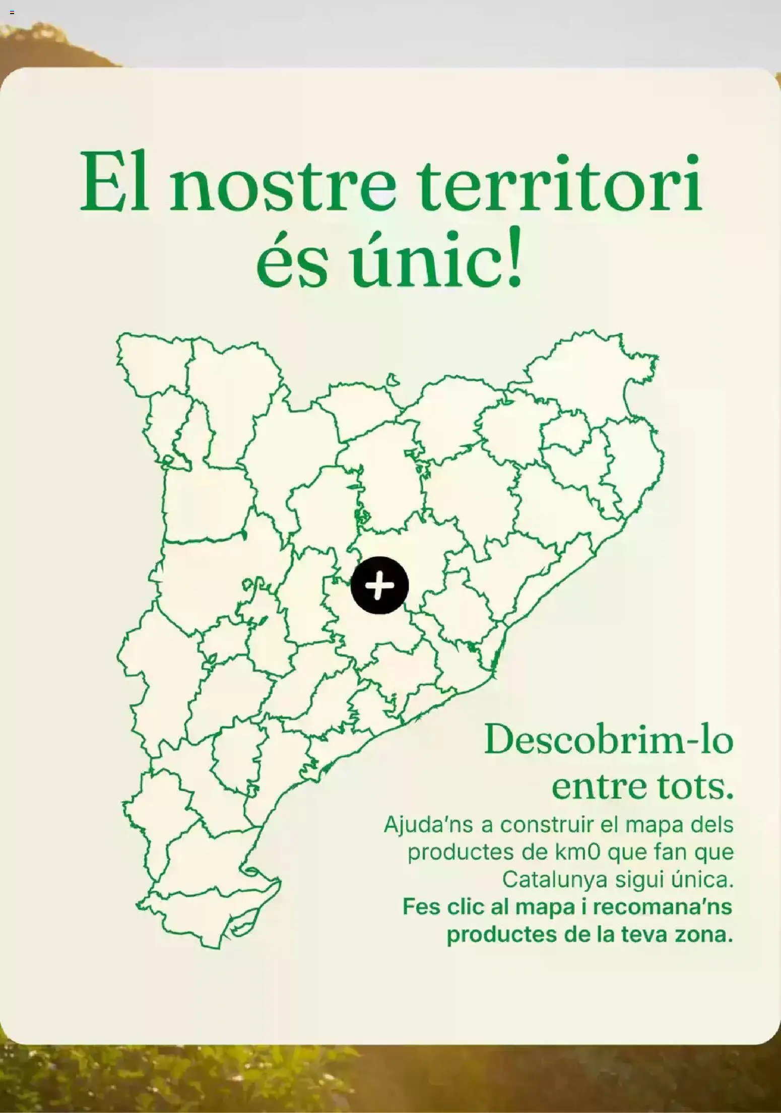 Bonpreu folleto