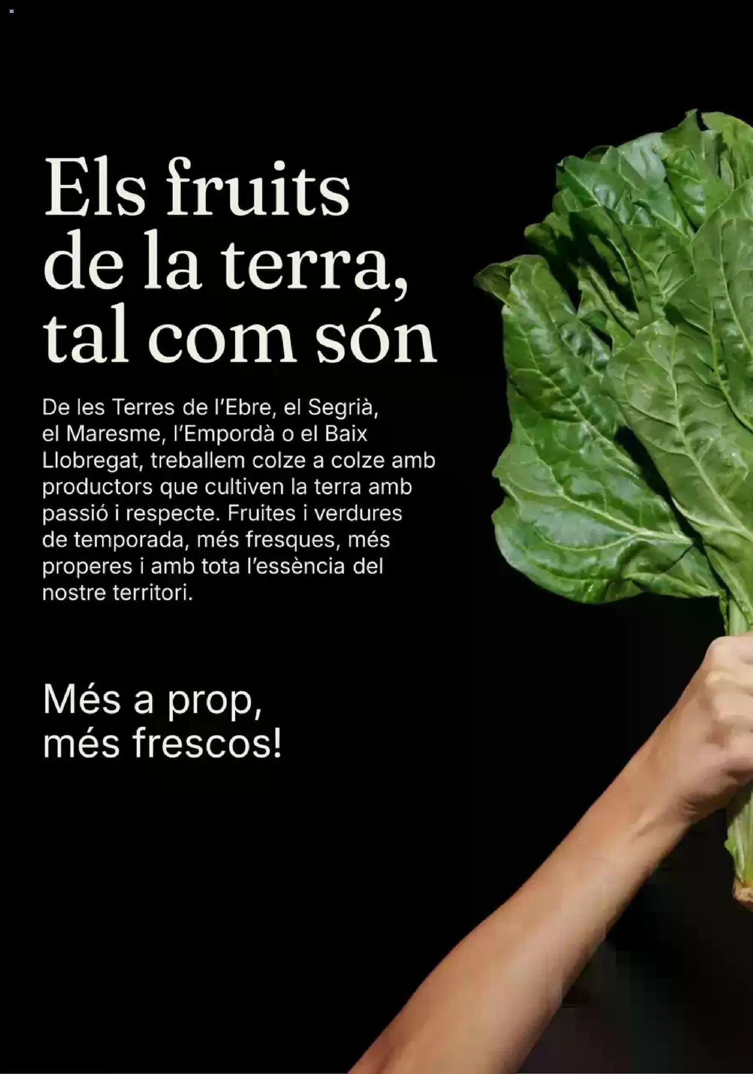 Bonpreu folleto